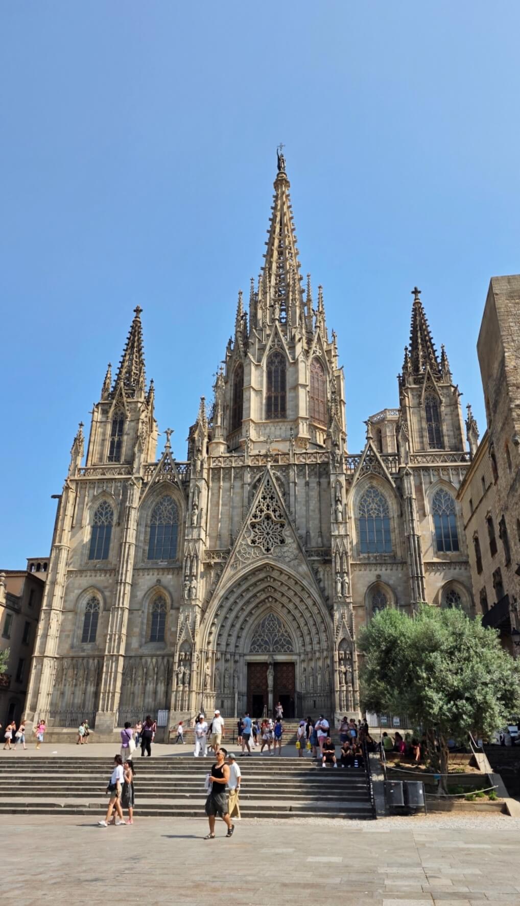 2025-11-12 12-48-12.JPG