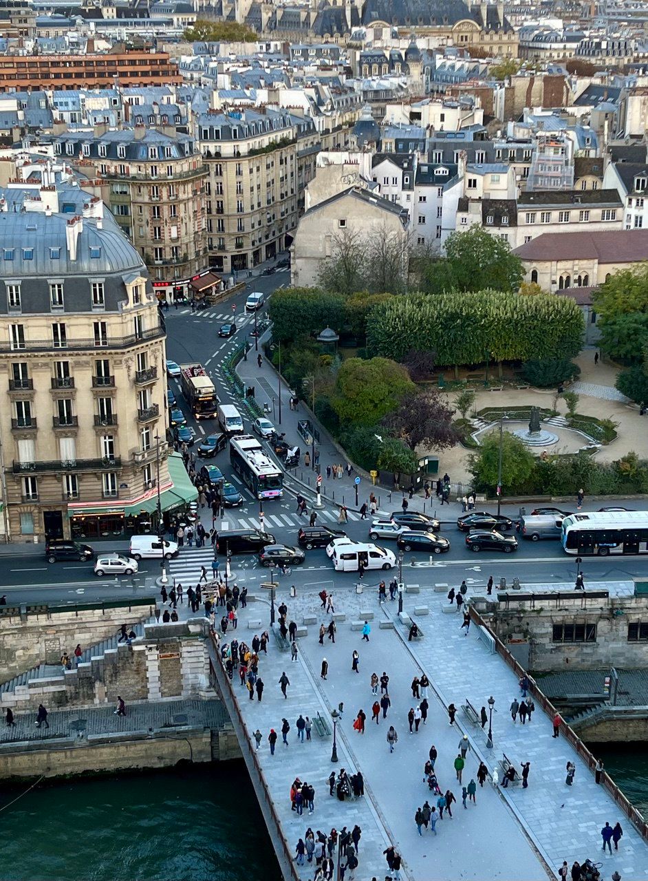 Вид на Париж с Нотр-Дама