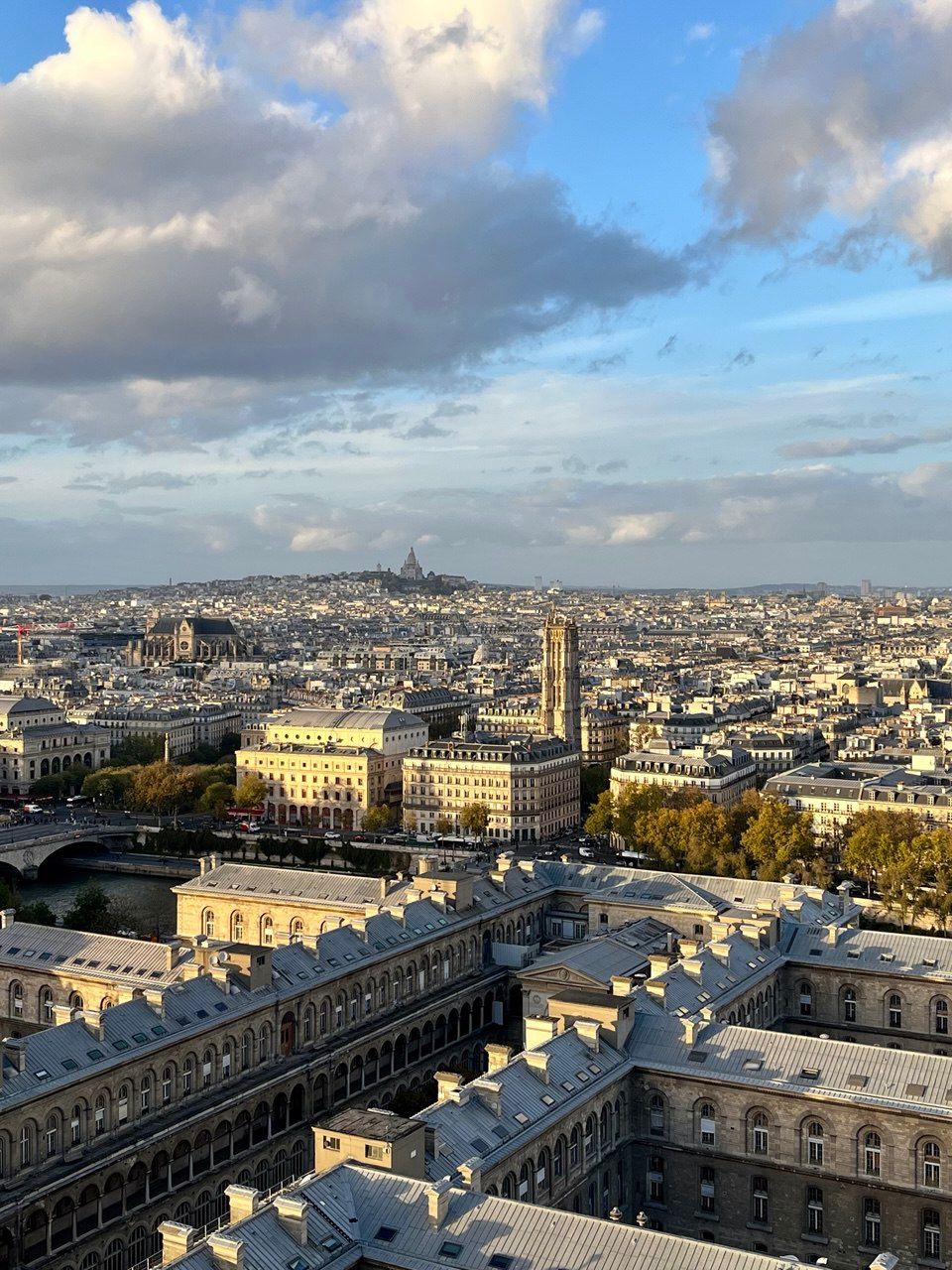 Вид на Париж с Нотр-Дама