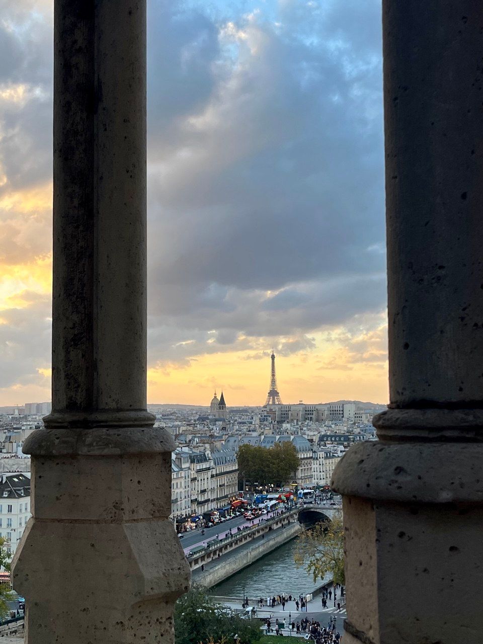 Вид на Париж с Нотр-Дама