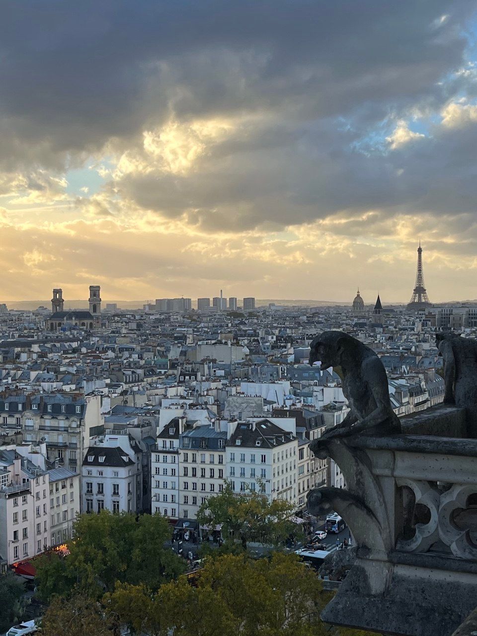 Вид на Париж с Нотр-Дама