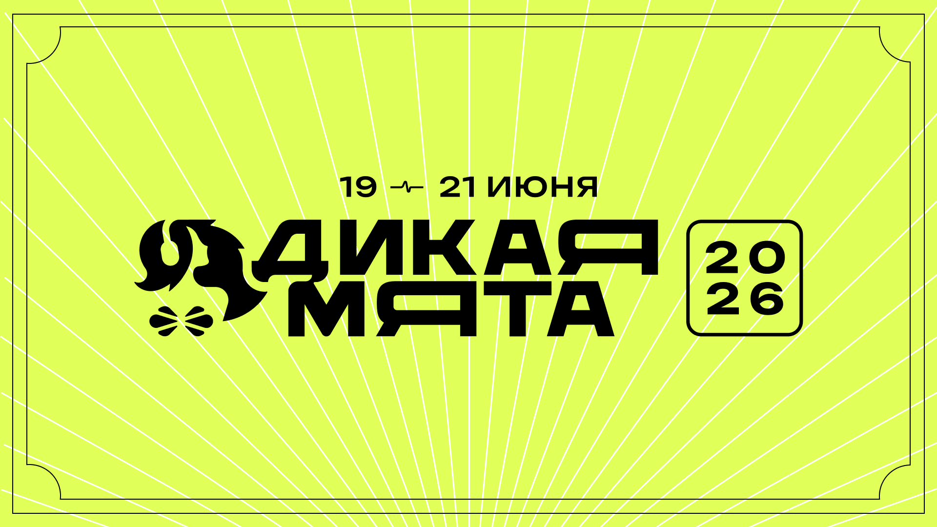 Афиша фестиваля «Дикая Мята»