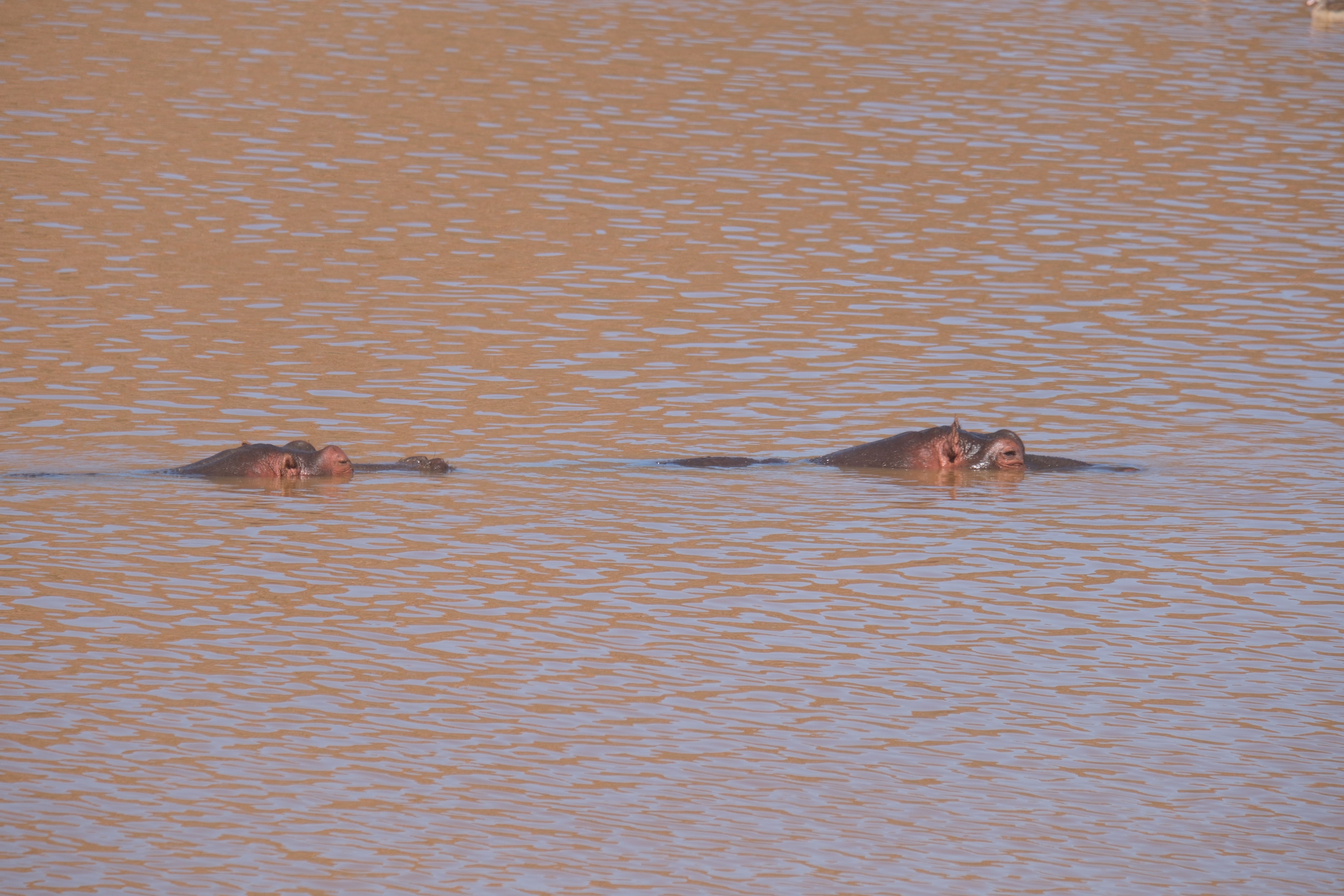 Акила сафари(11).jpg