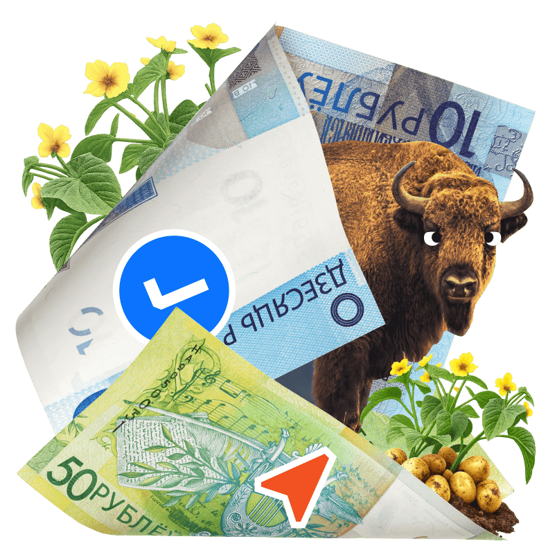 Как платить в Беларуси в 2026 году