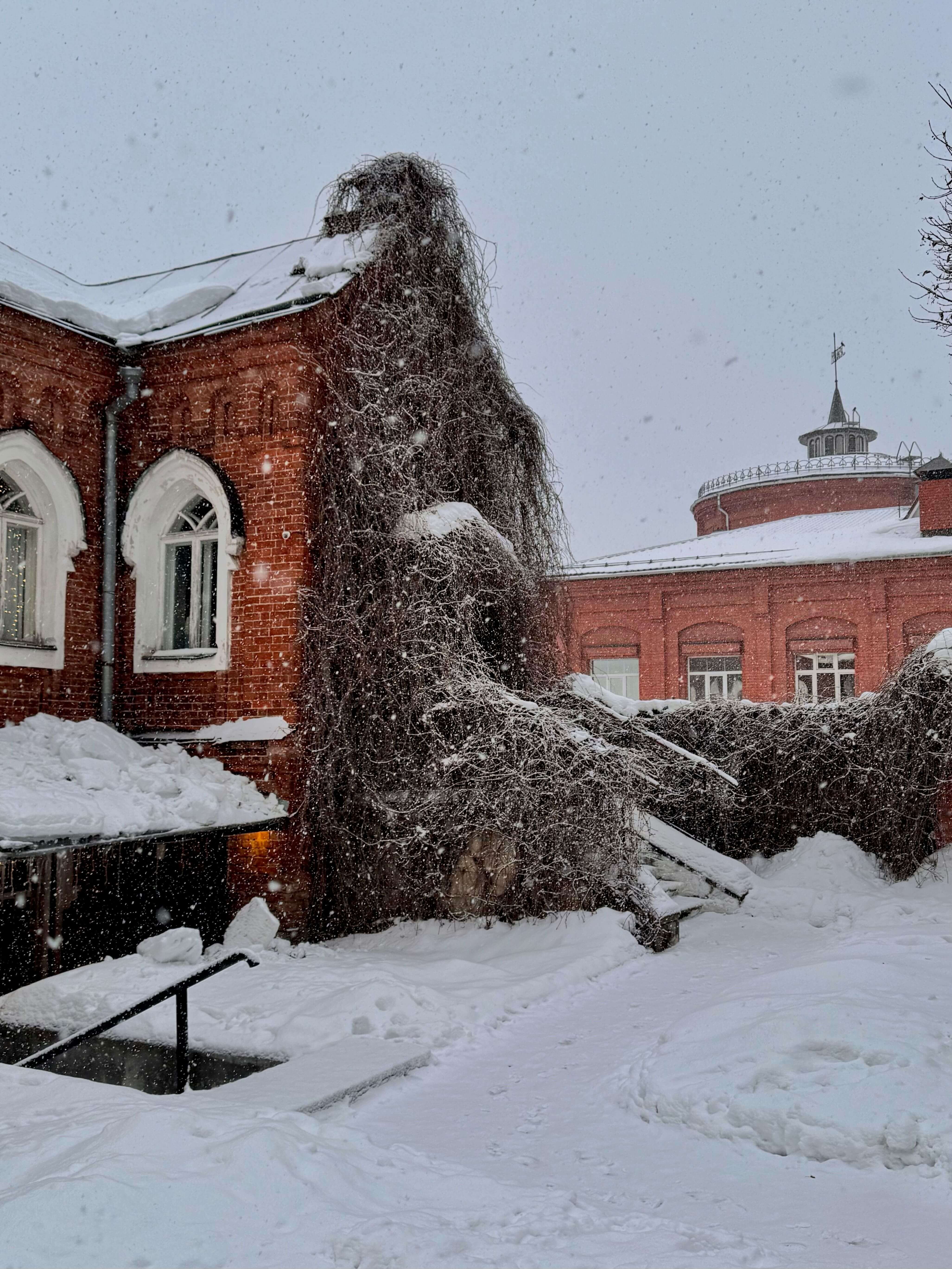 Двор Католической Церкви.jpg