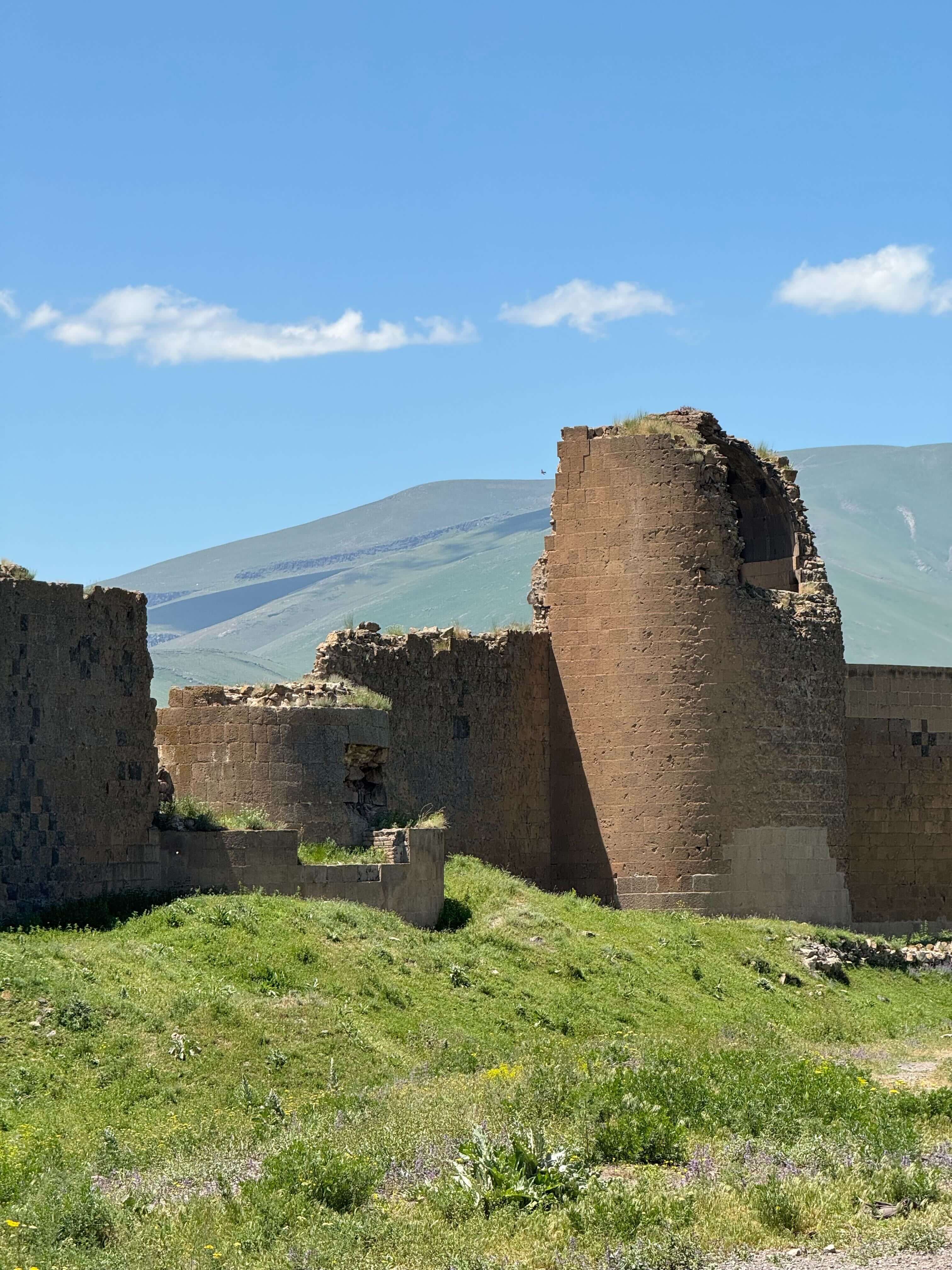 Ани