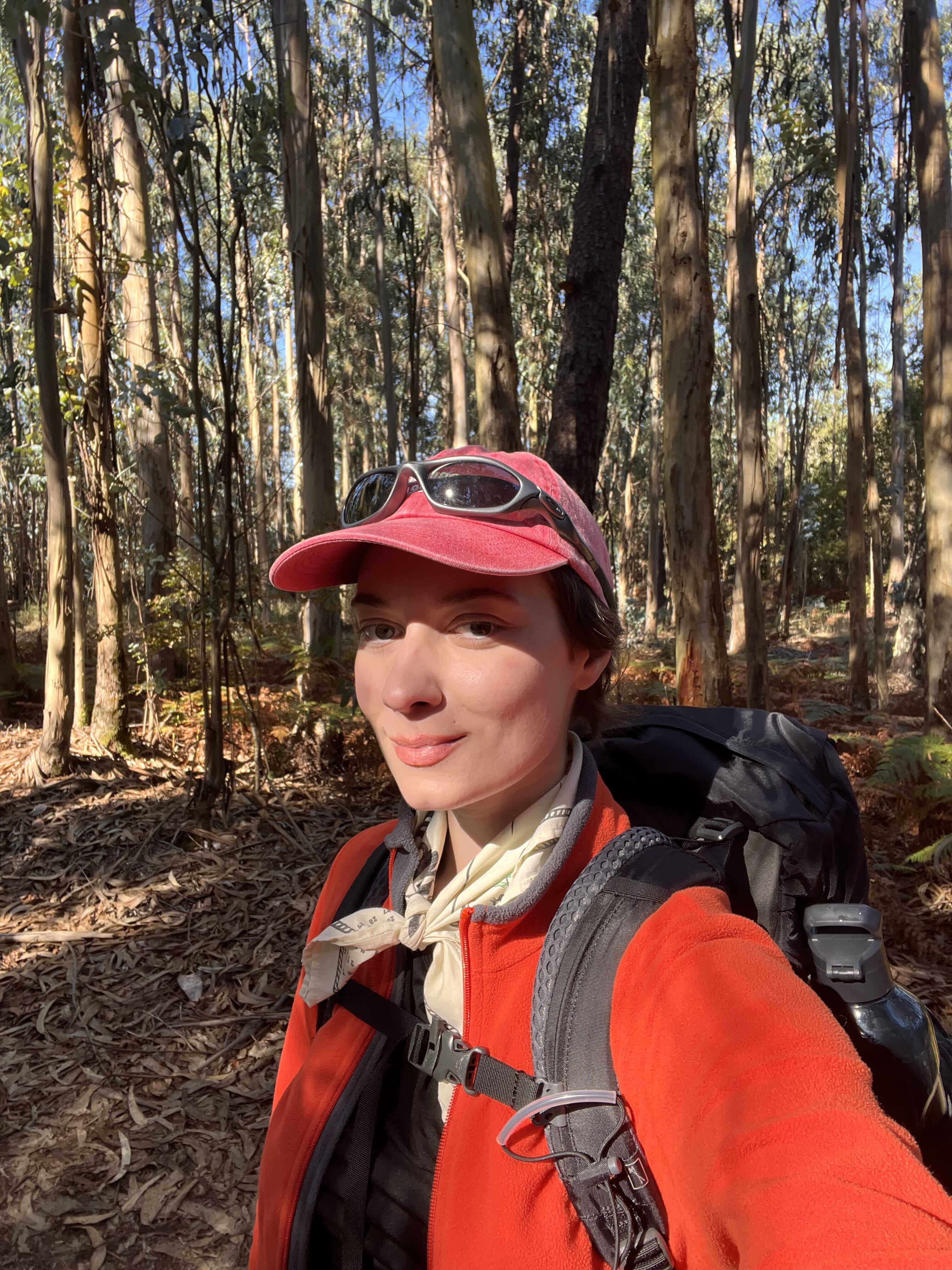 Поход в лесу