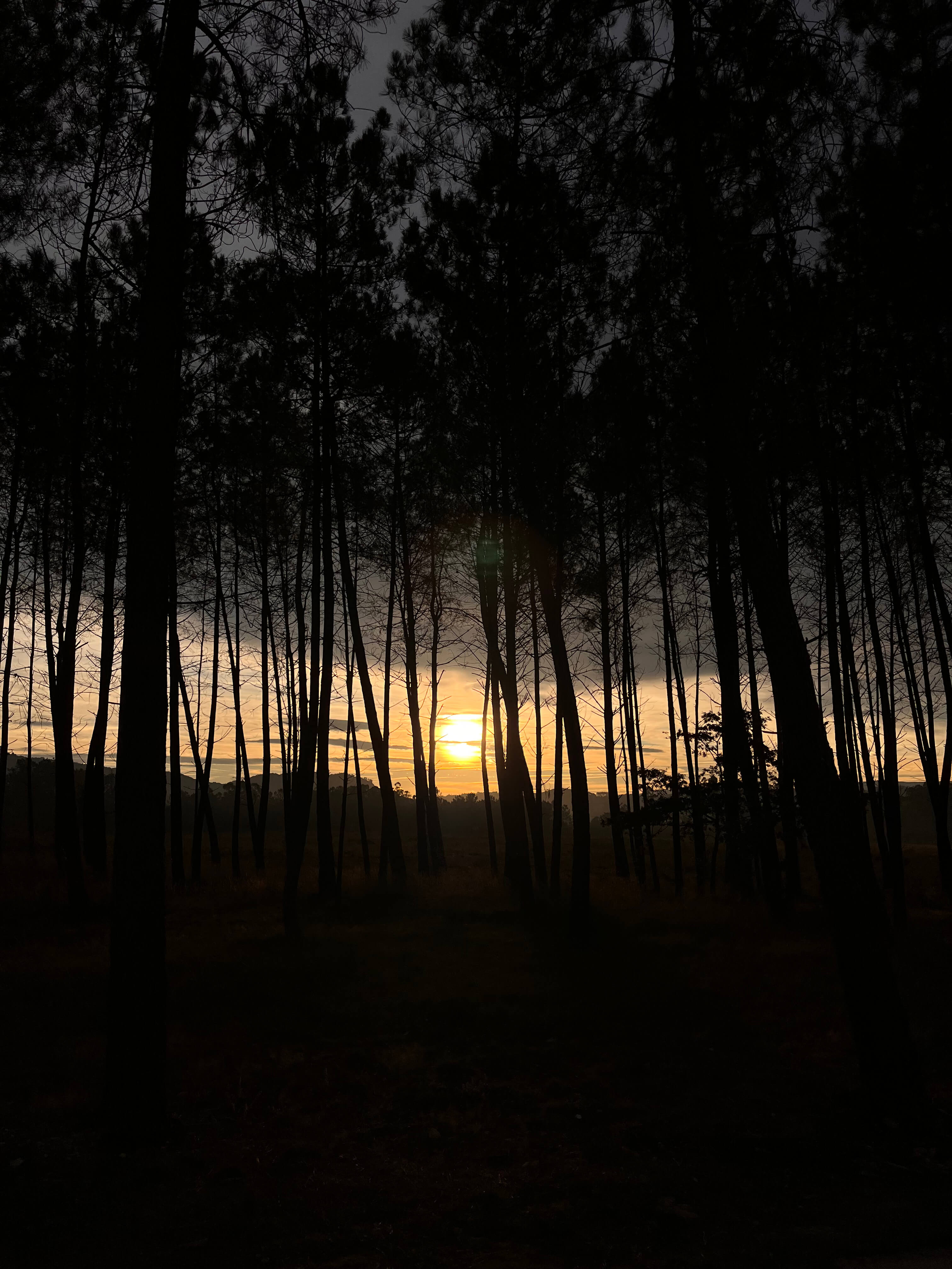 Путь Камино-де-Сантьяго на рассвете