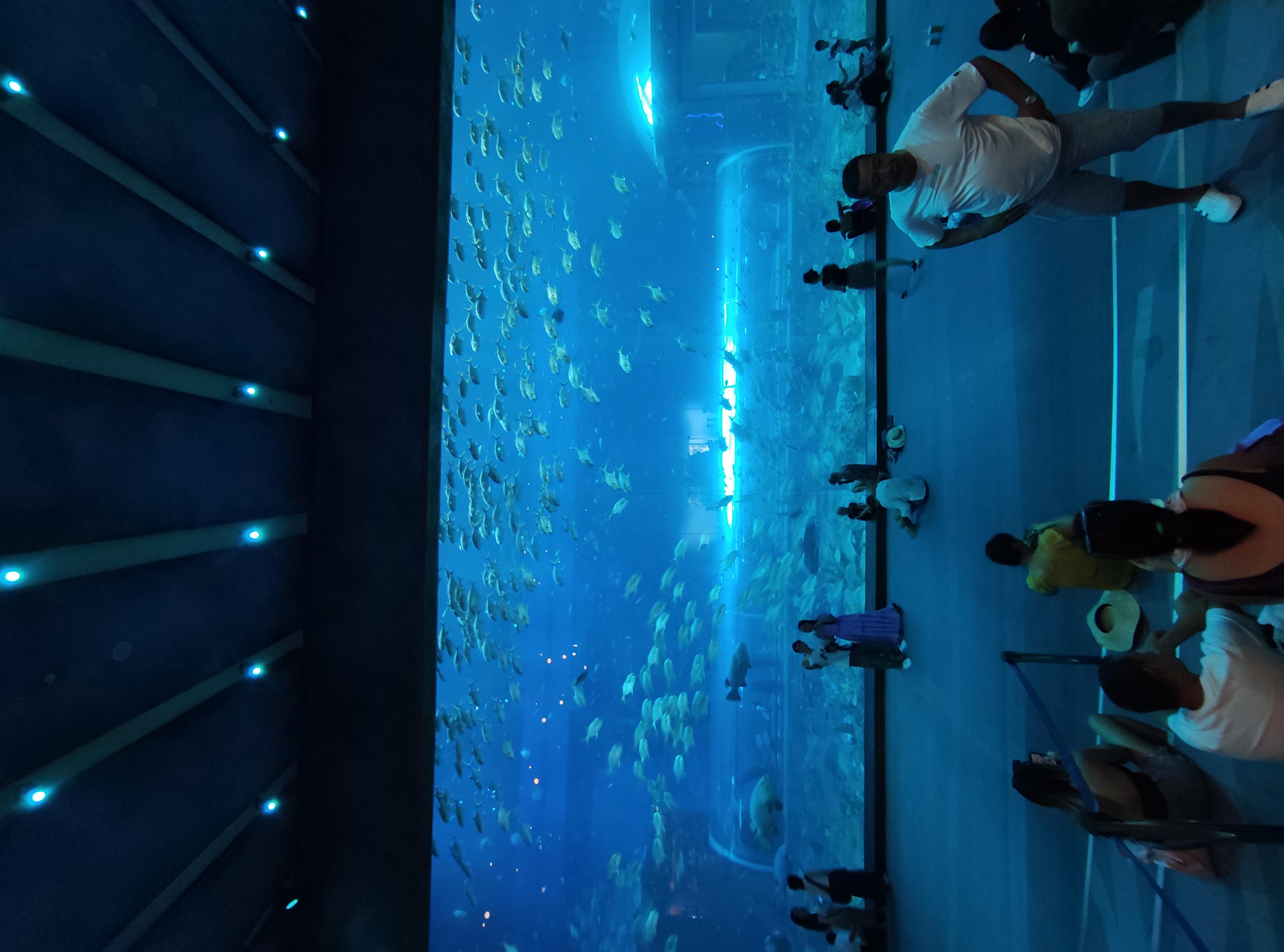 IMG_20231216_123010 (1).jpg