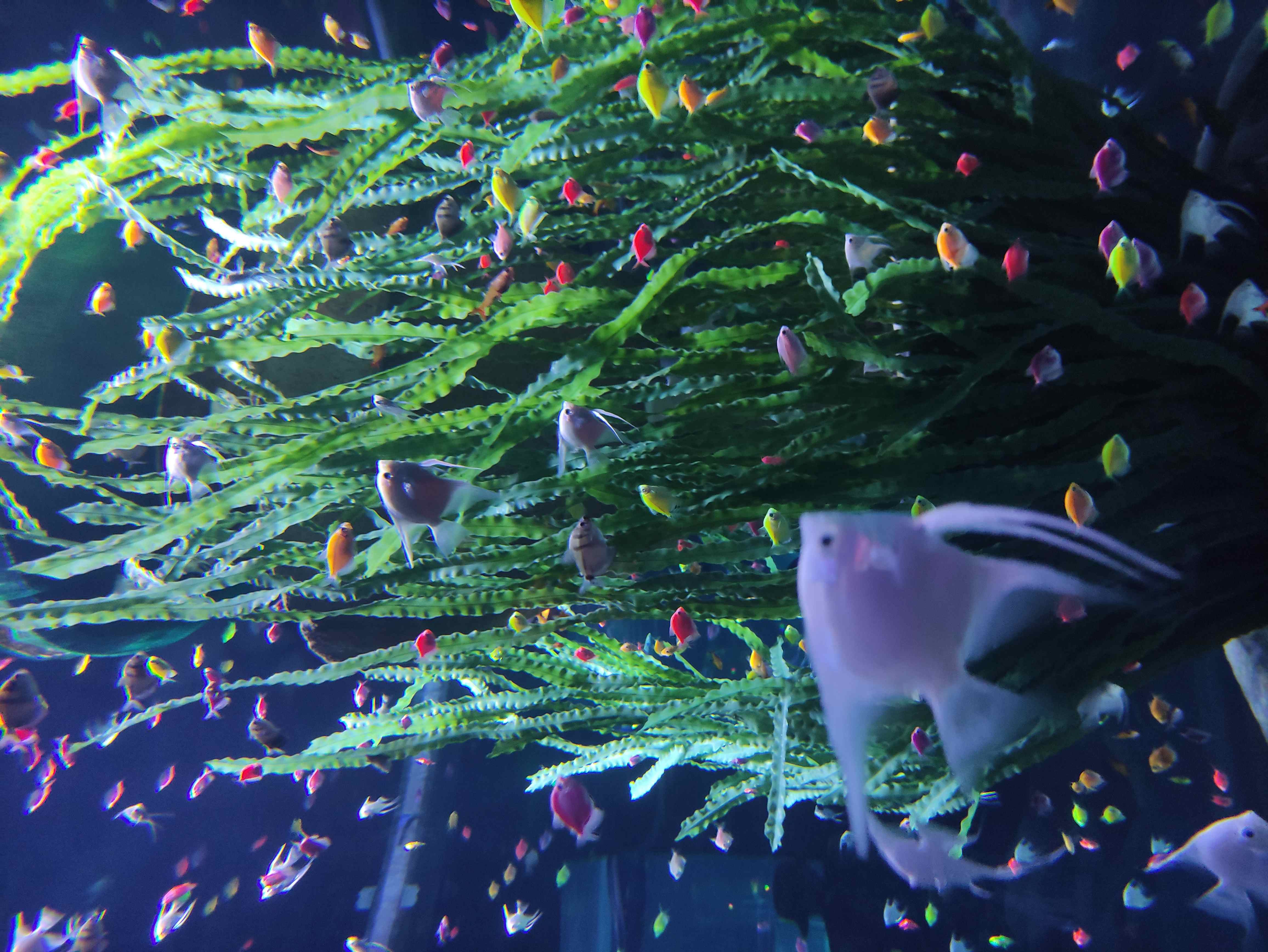 IMG_20231216_123702 (1).jpg