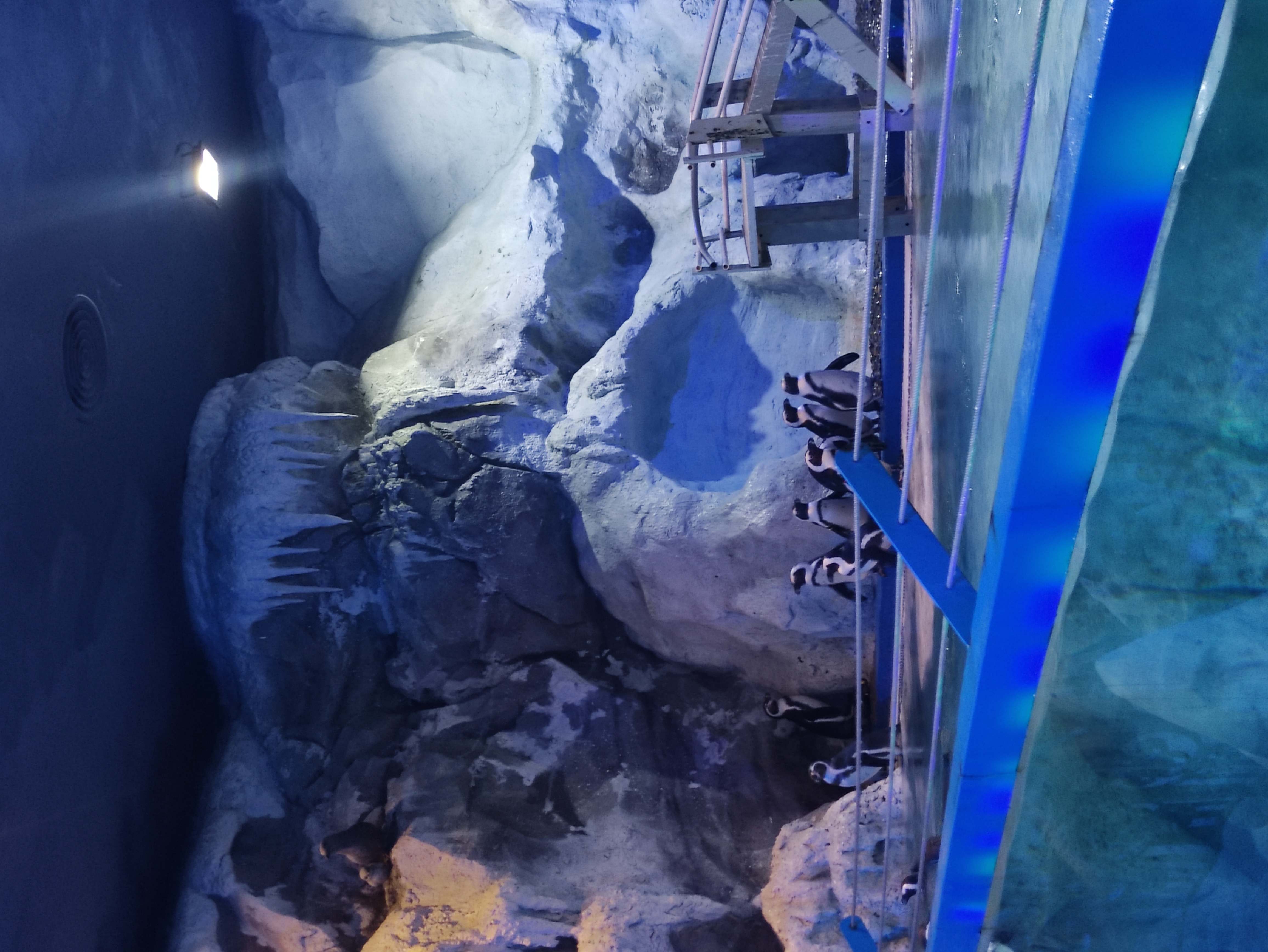 IMG_20231216_124627 (1).jpg