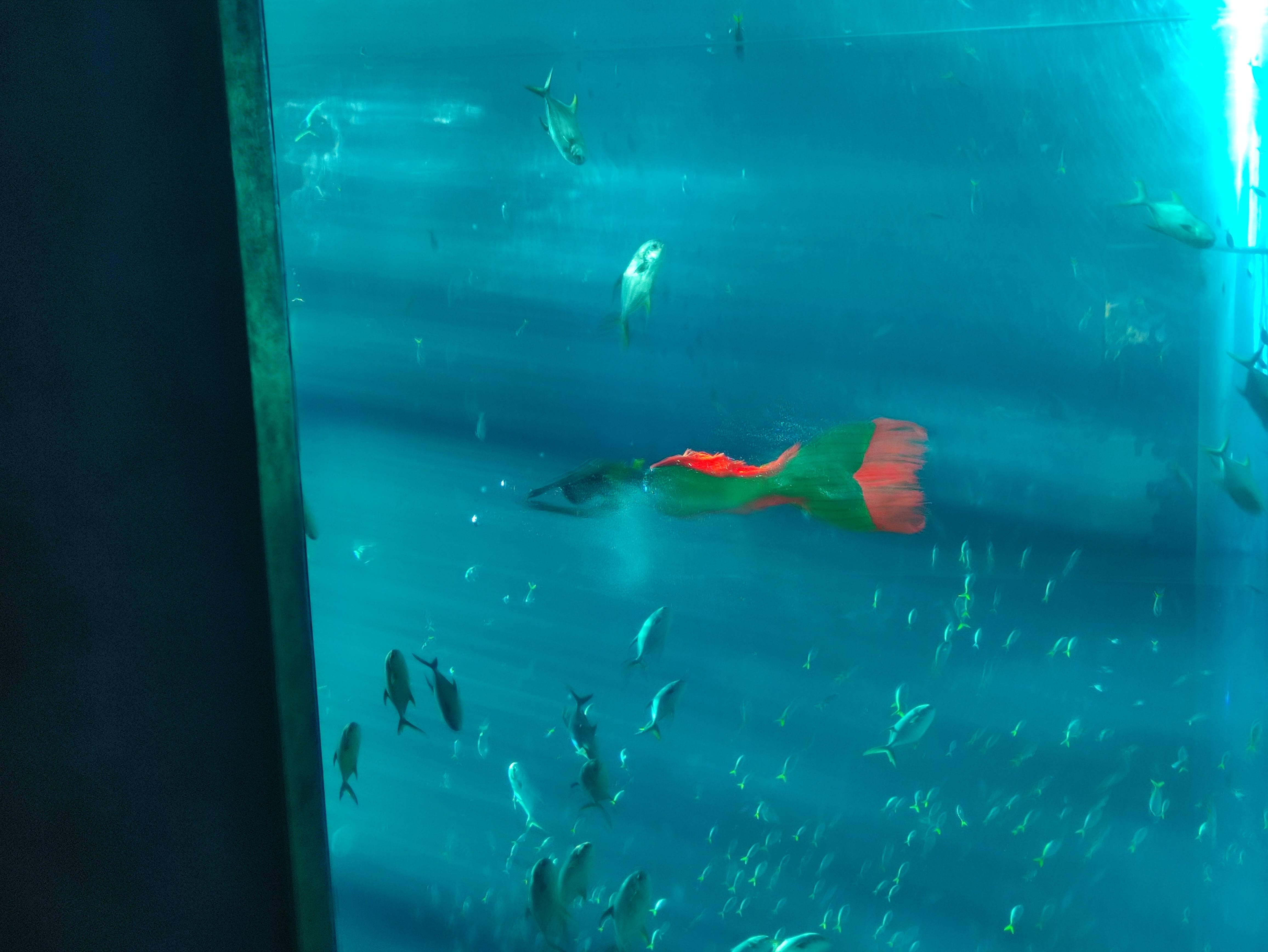 IMG_20231216_140115 (1).jpg