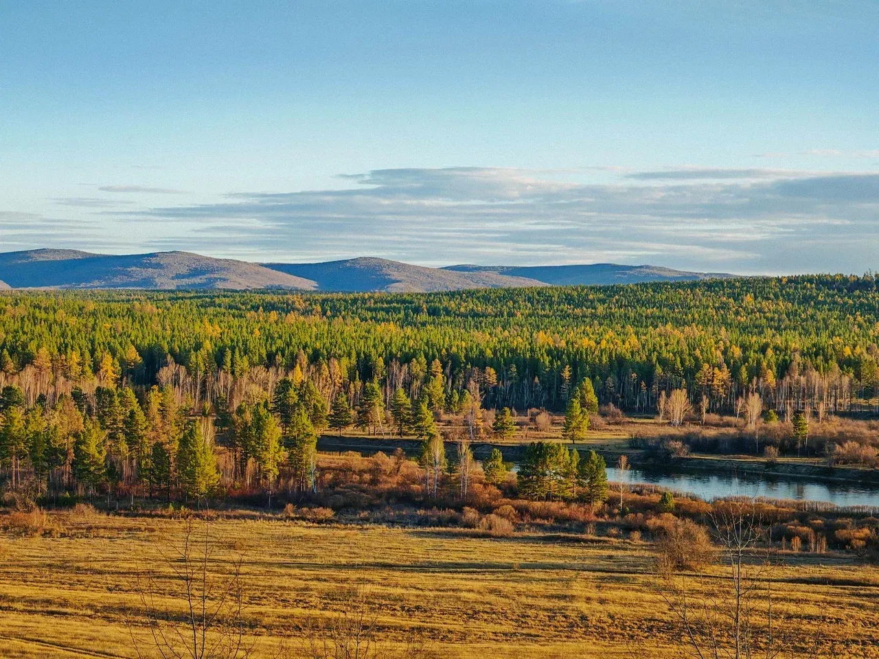 Природа Сибири