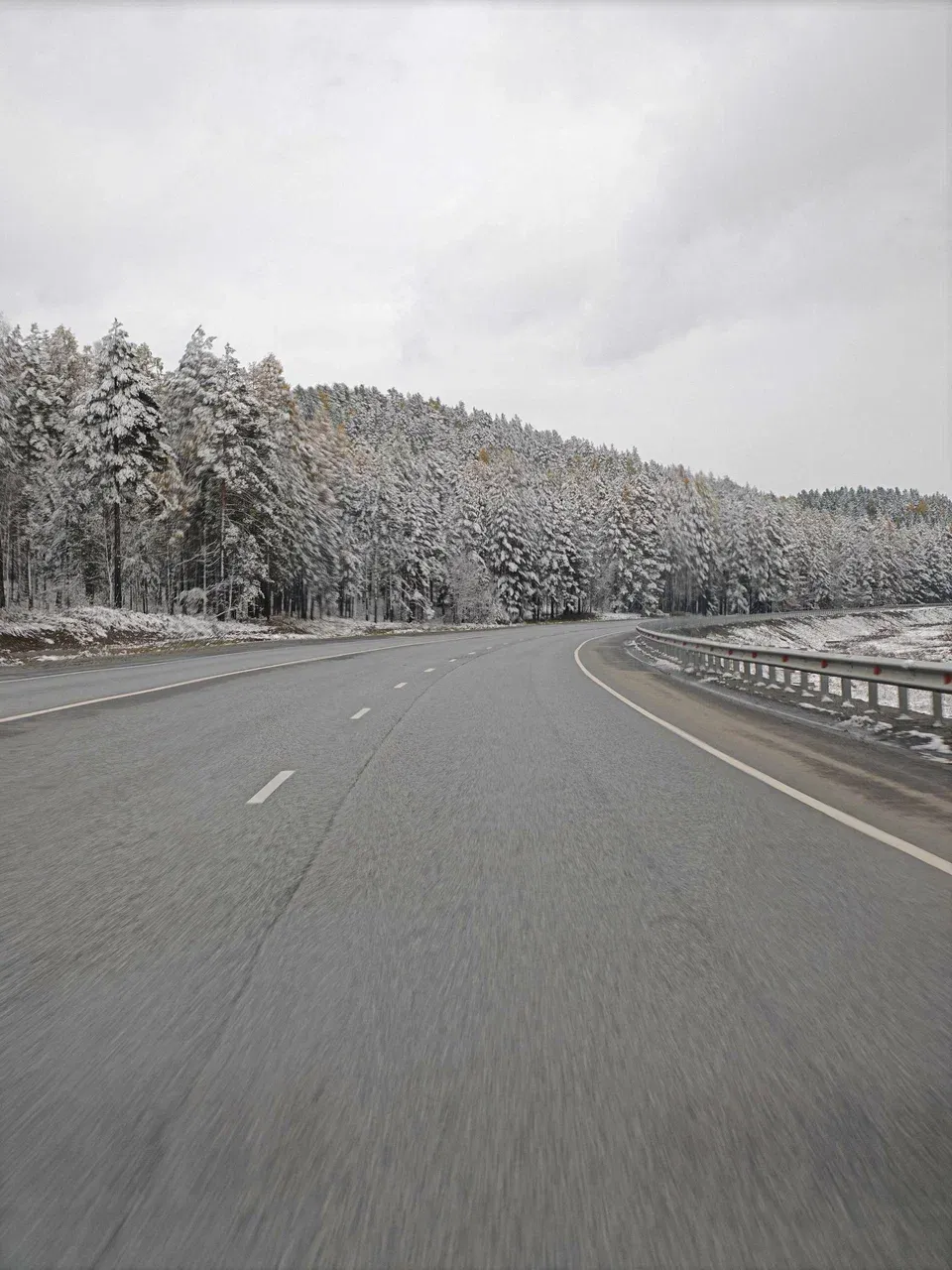 Заснеженная дорога