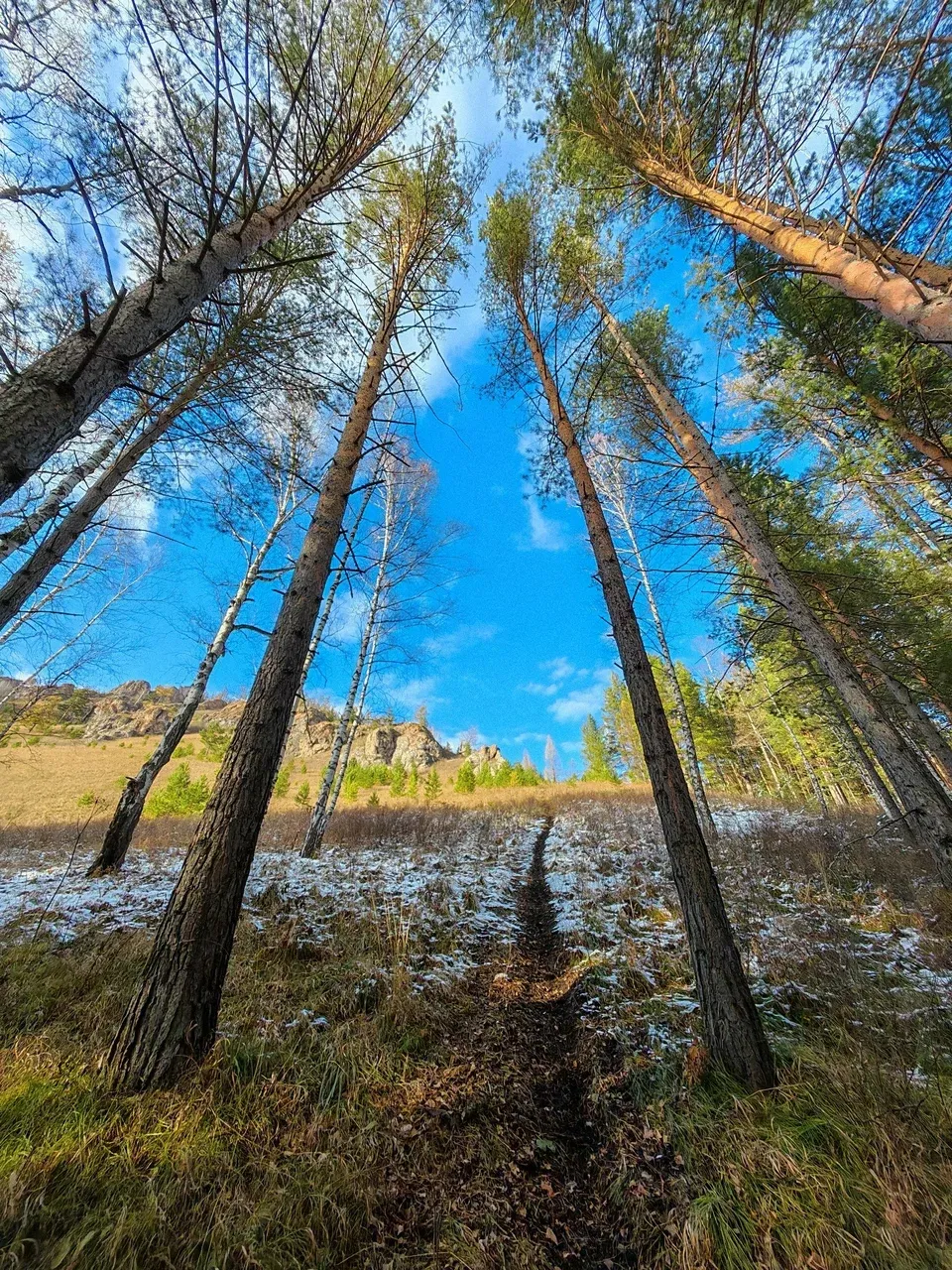 Парк «Красноярские Столбы»