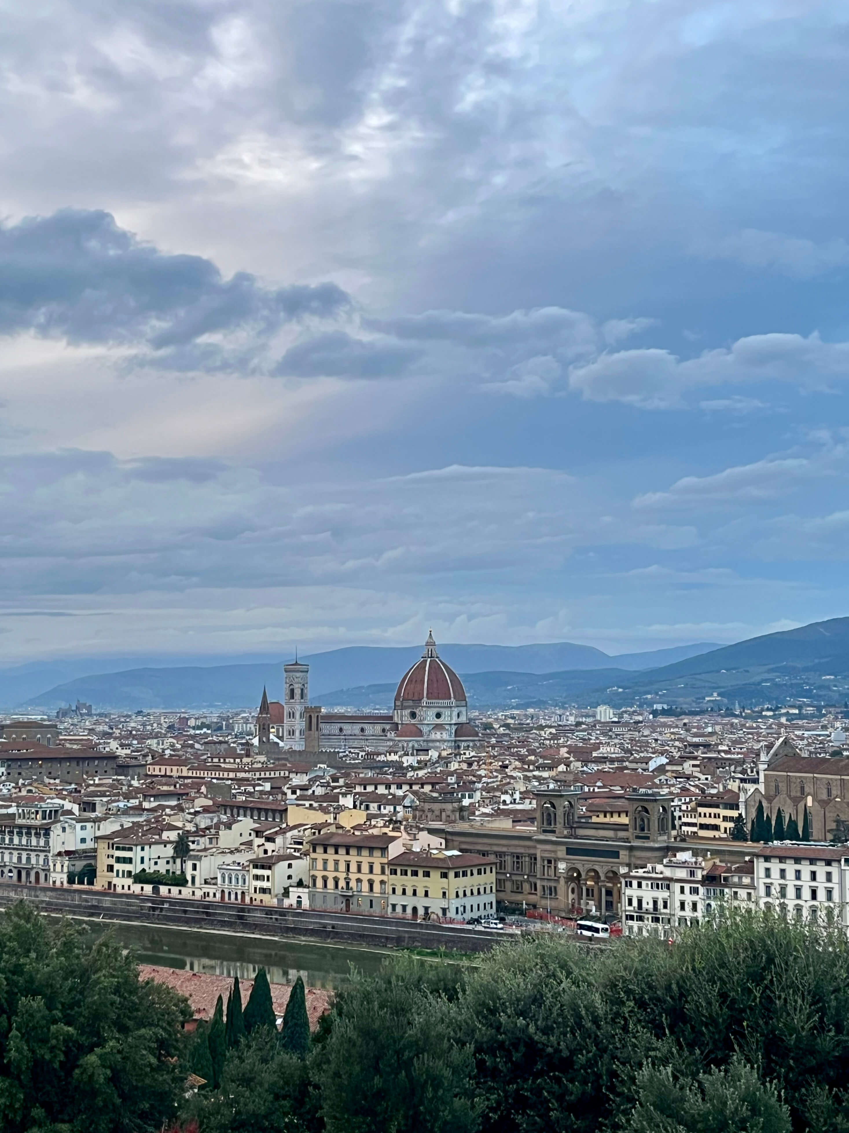 Вид на Флоренцию сверху