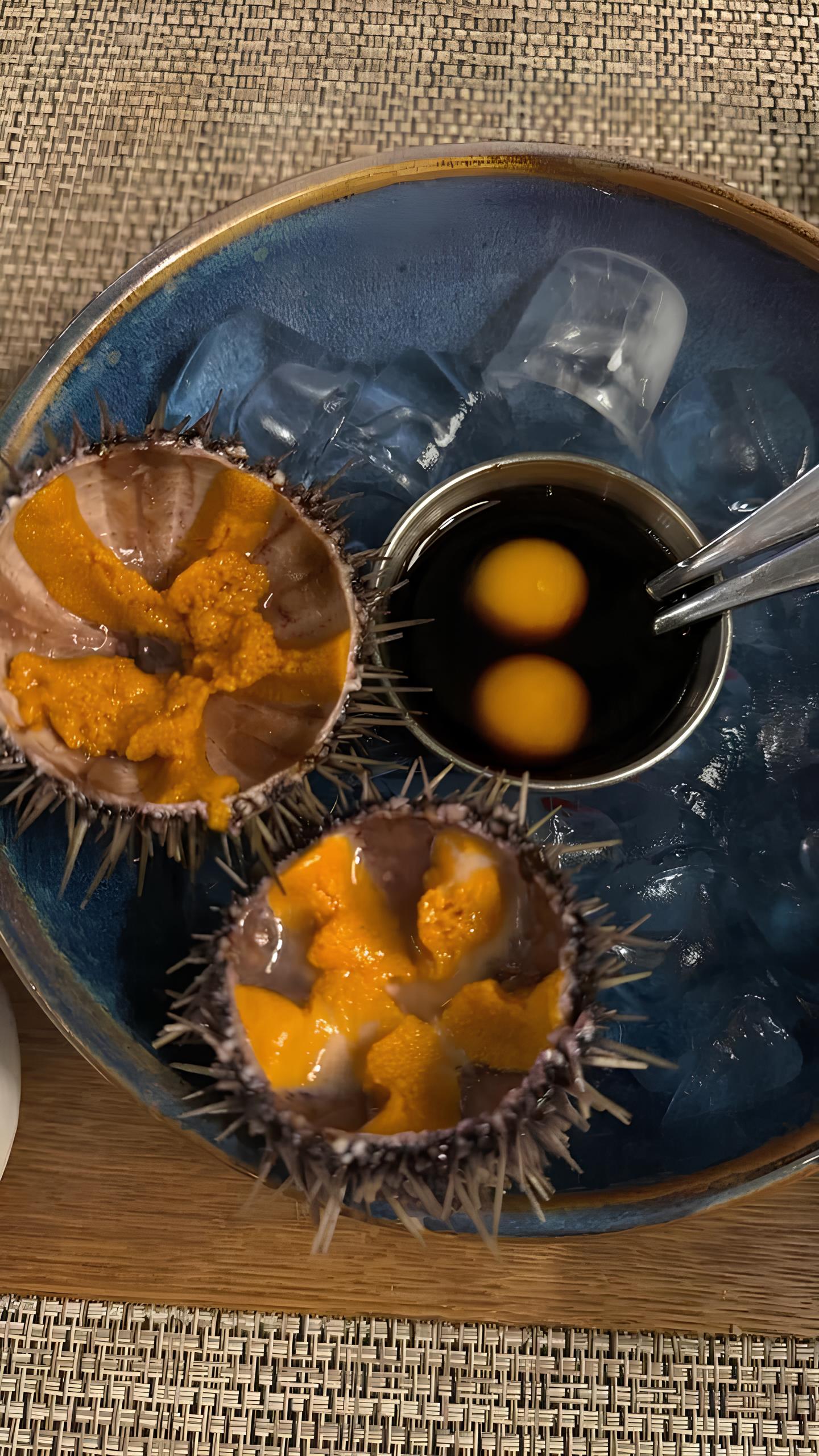 Морские ежи в Мурманске