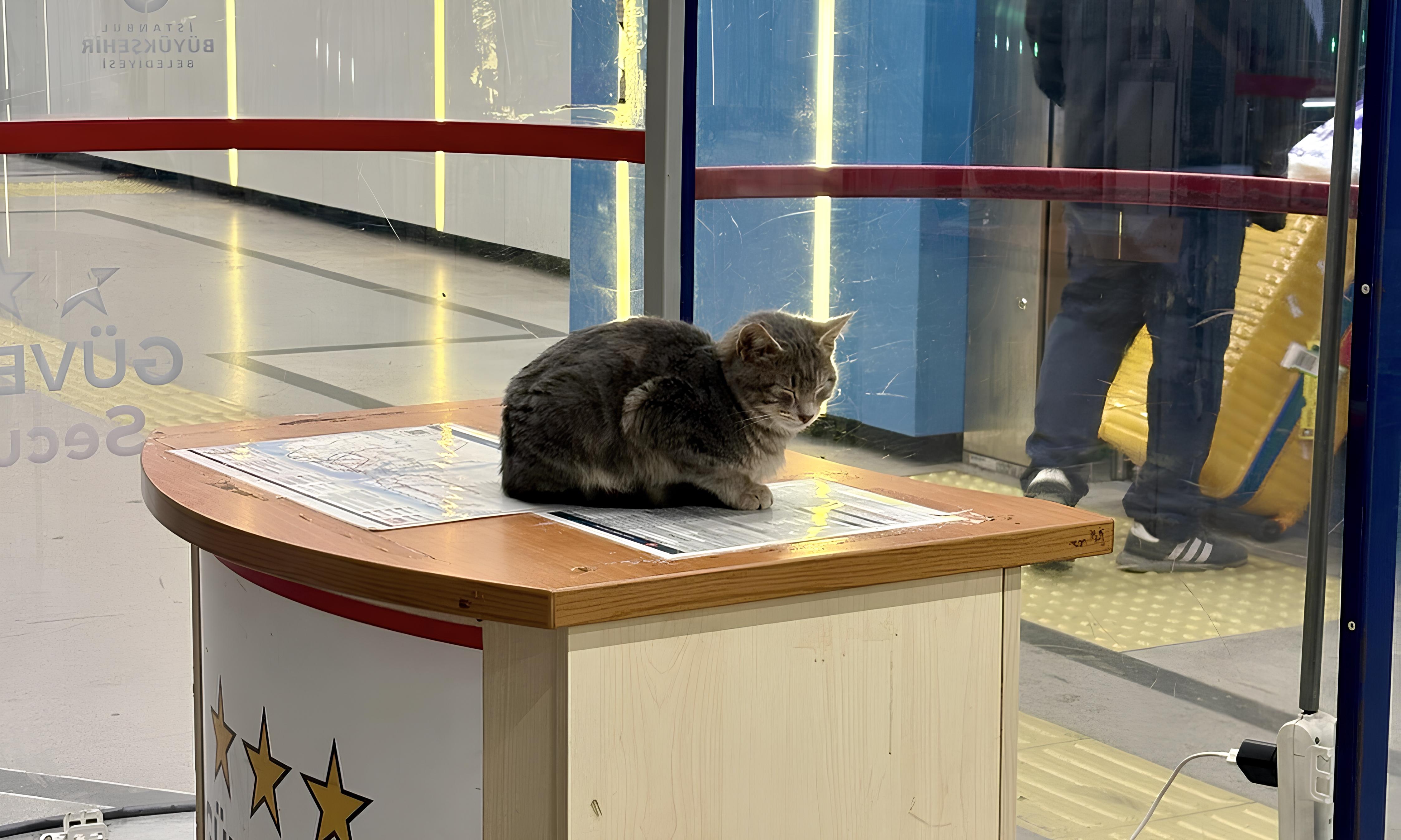 IMG_6734 — копия.jpg