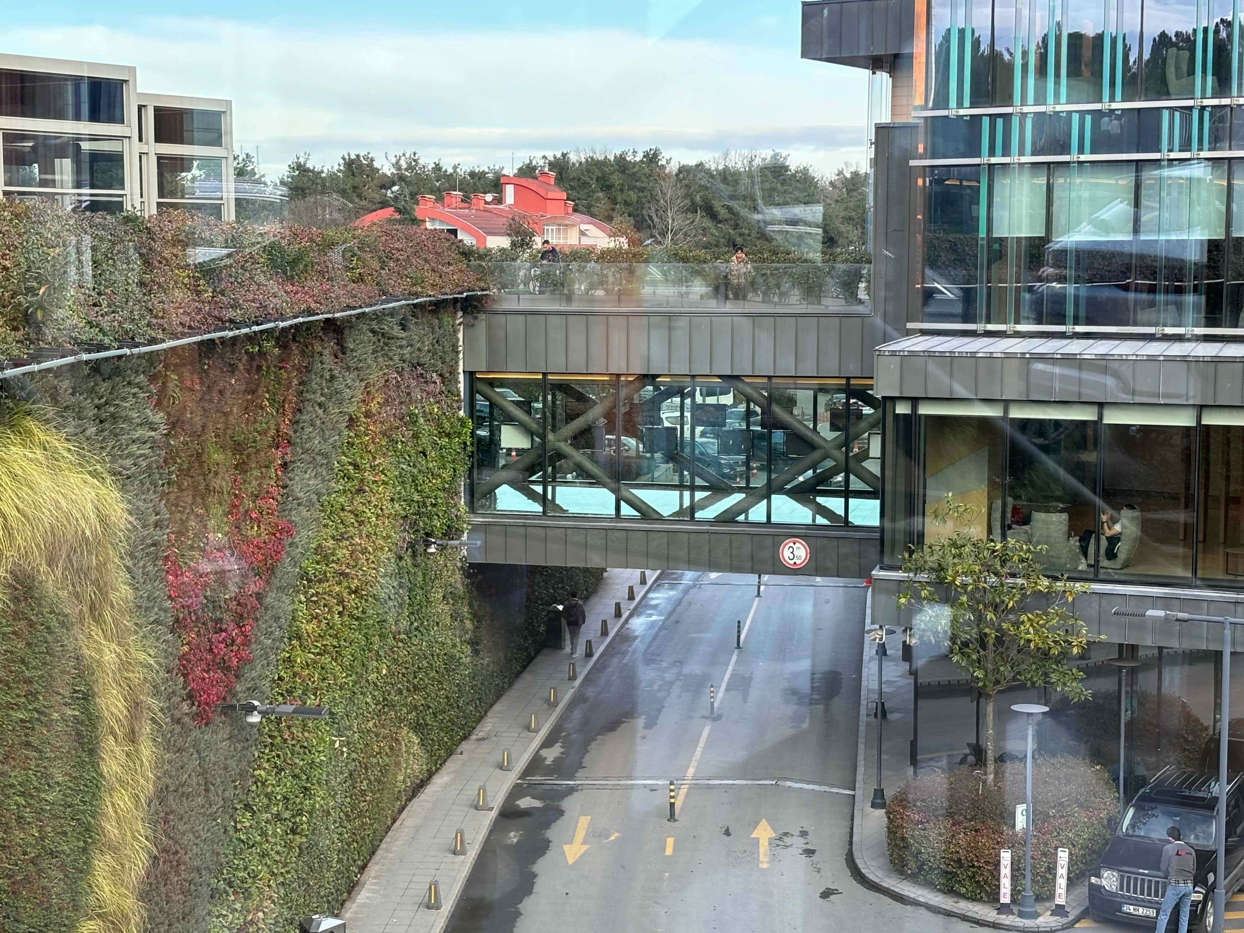 IMG_8325_(1) (1).jpeg