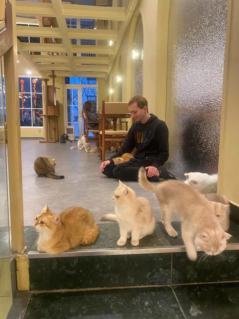 Котокафе