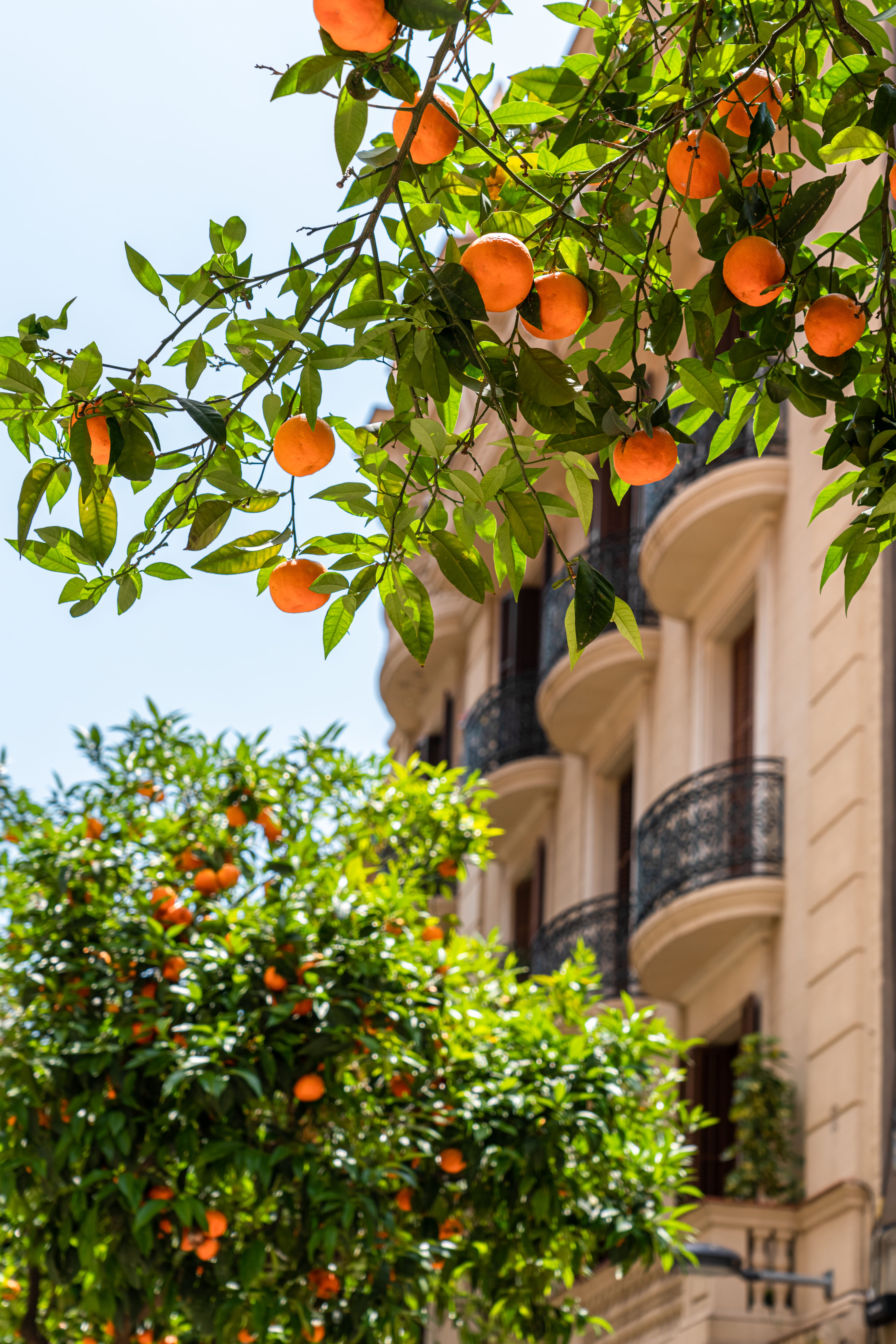 Испания в апреле