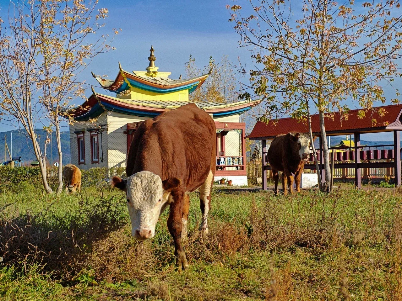 Иволгинский дацан