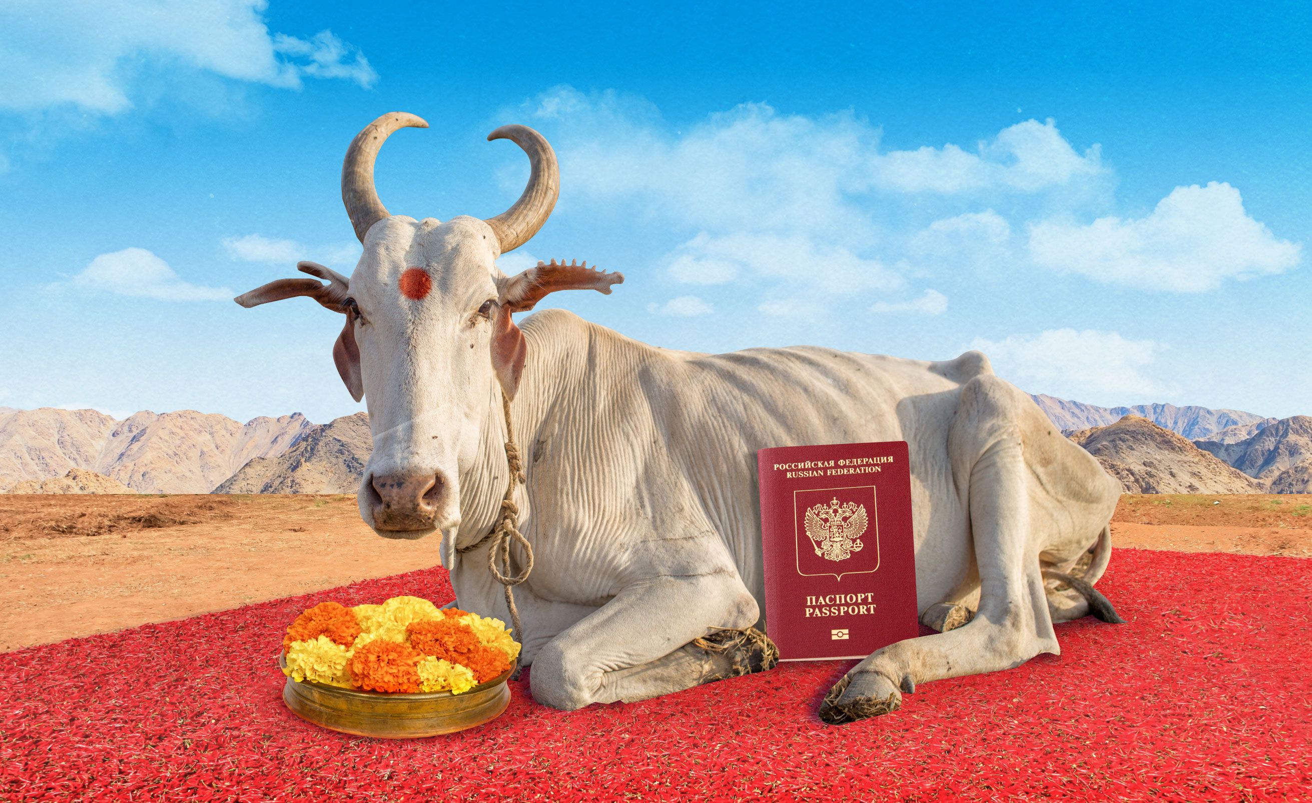 Как оформить визу в Индию в 2026 году