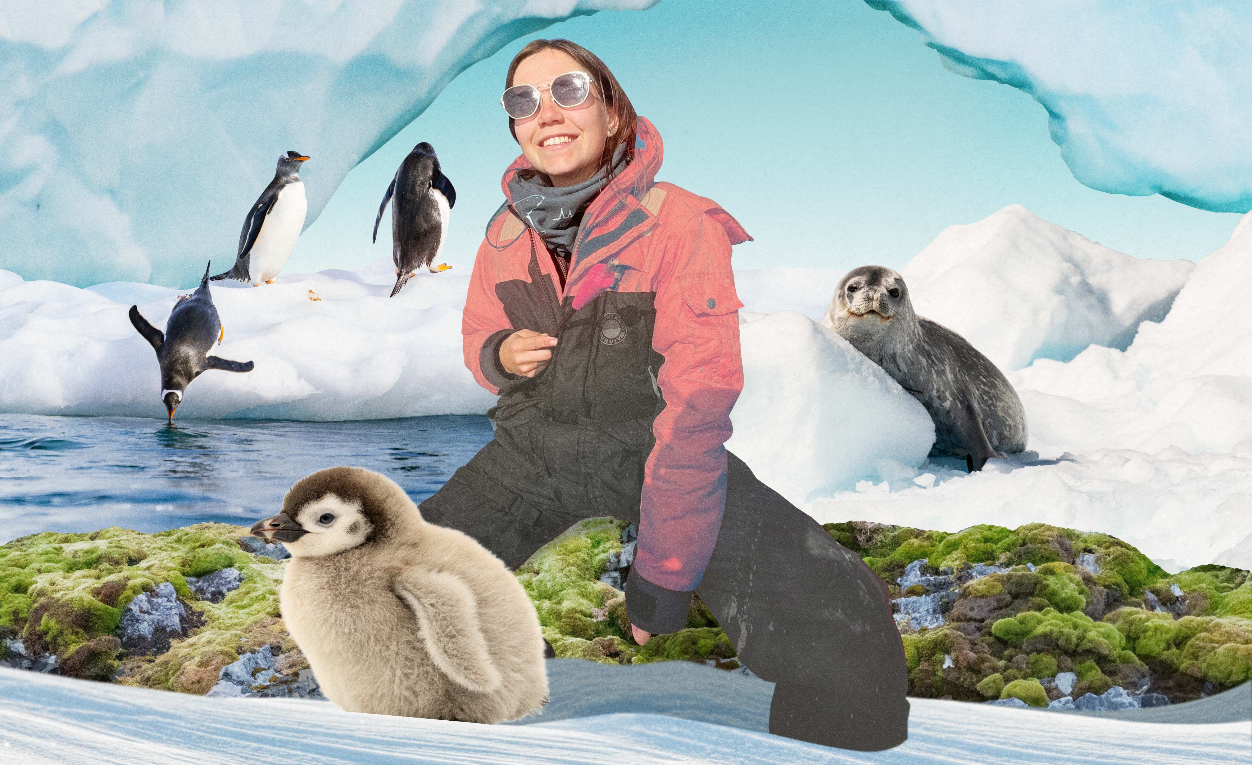 Как я работаю биологом в Антарктике: считаю пингвинов и наблюдаю за тюленями