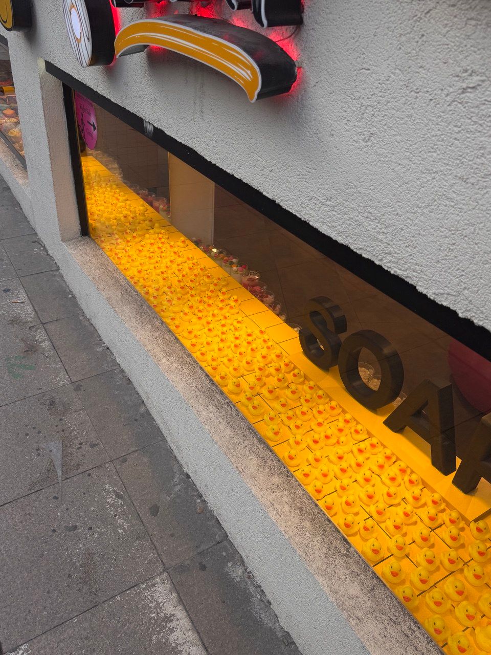 Каш витрина.jpg