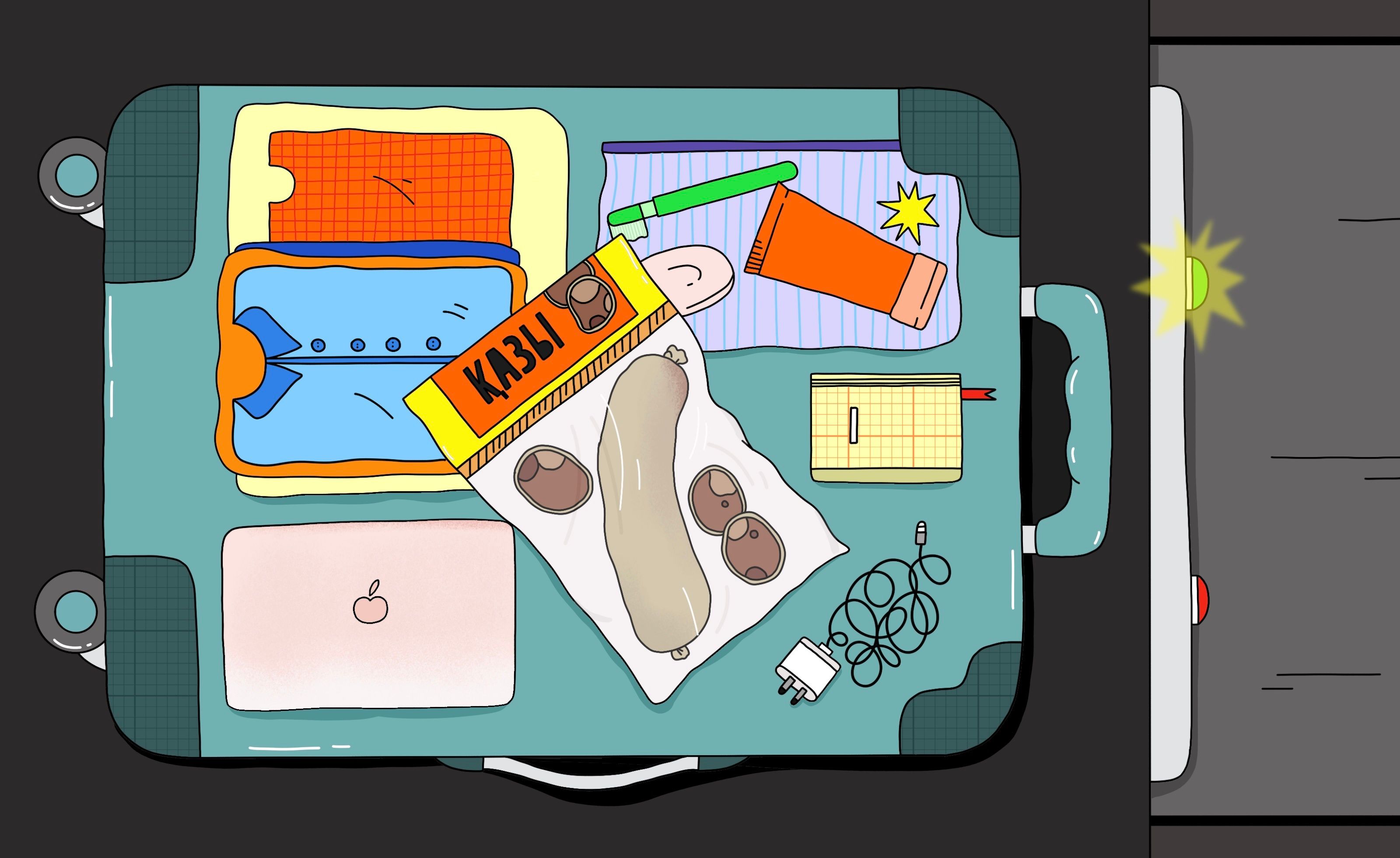 Можно ли брать казы в самолёт