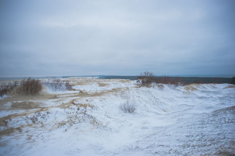 Куршская коса зимой