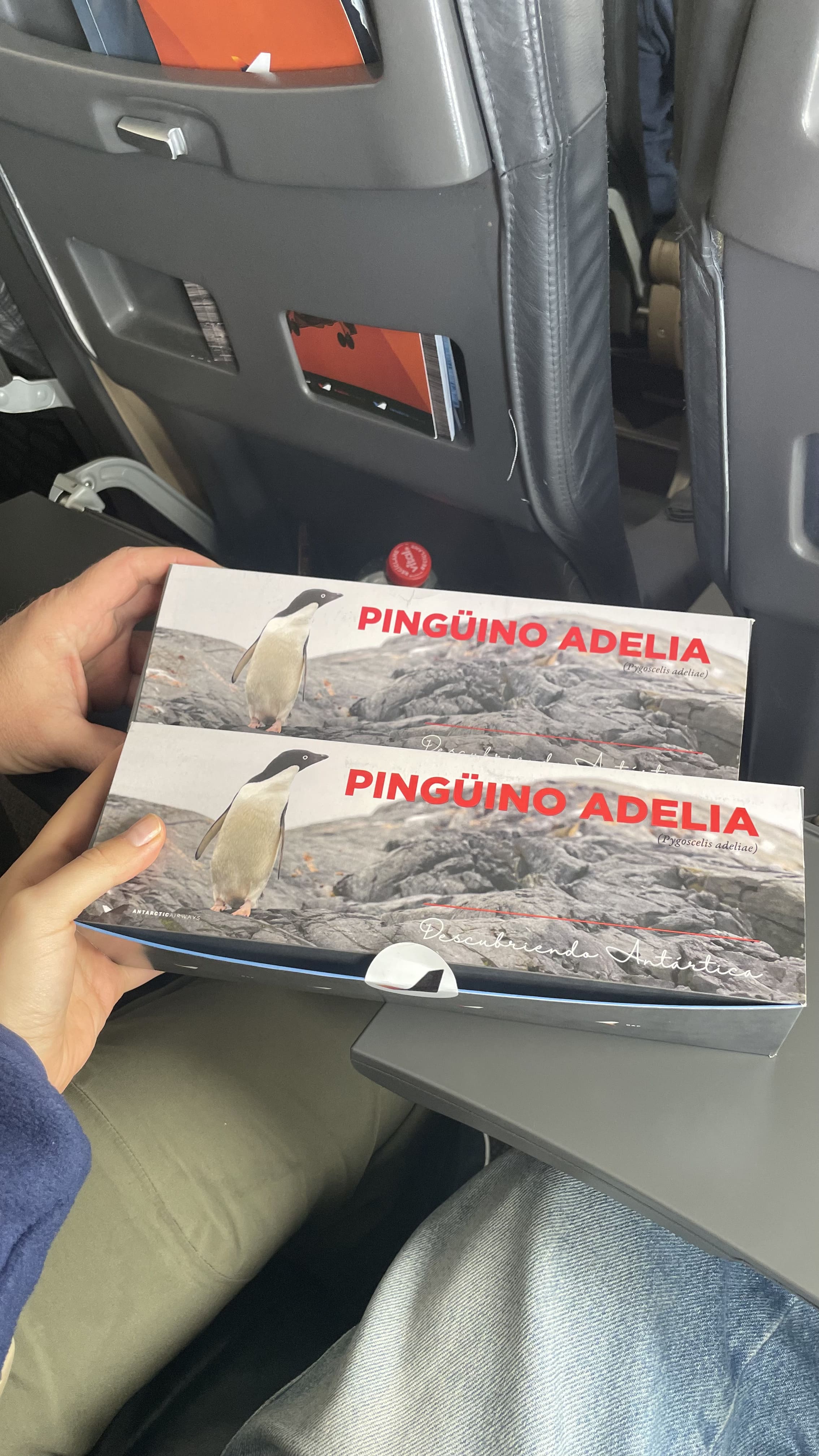 Ланчбоксы в самолетеIMG_9142.jpg