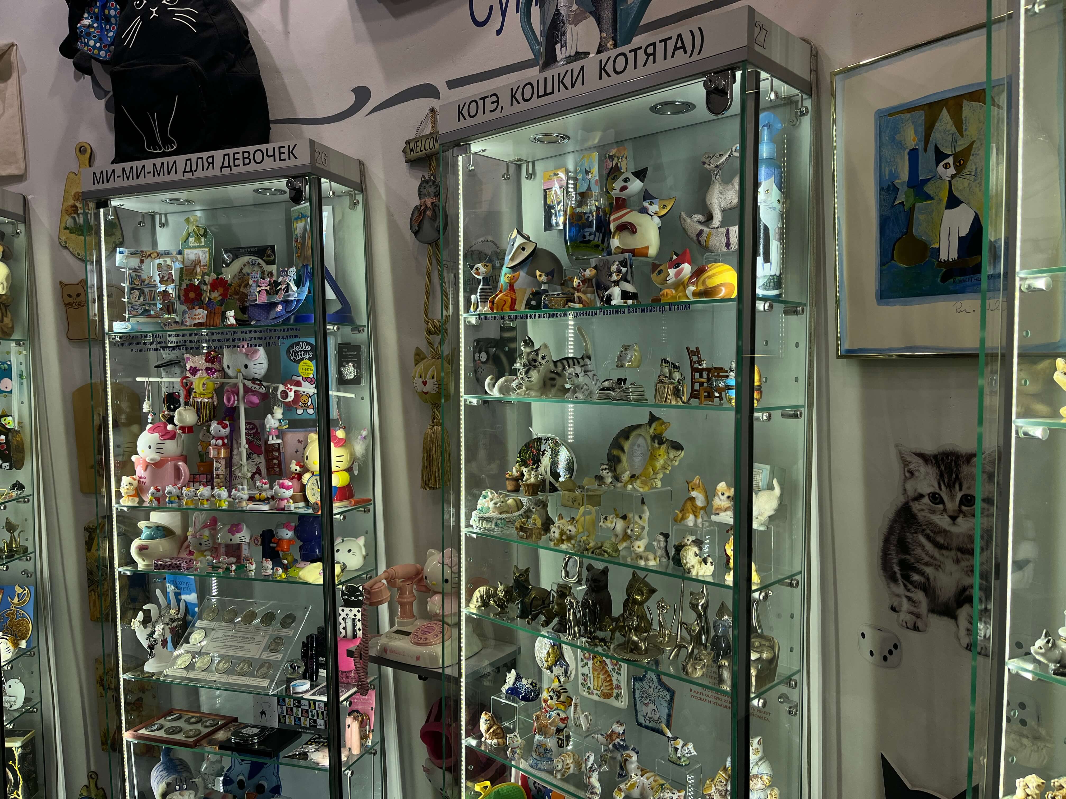 Музей «Мурариум» в Зеленоградске