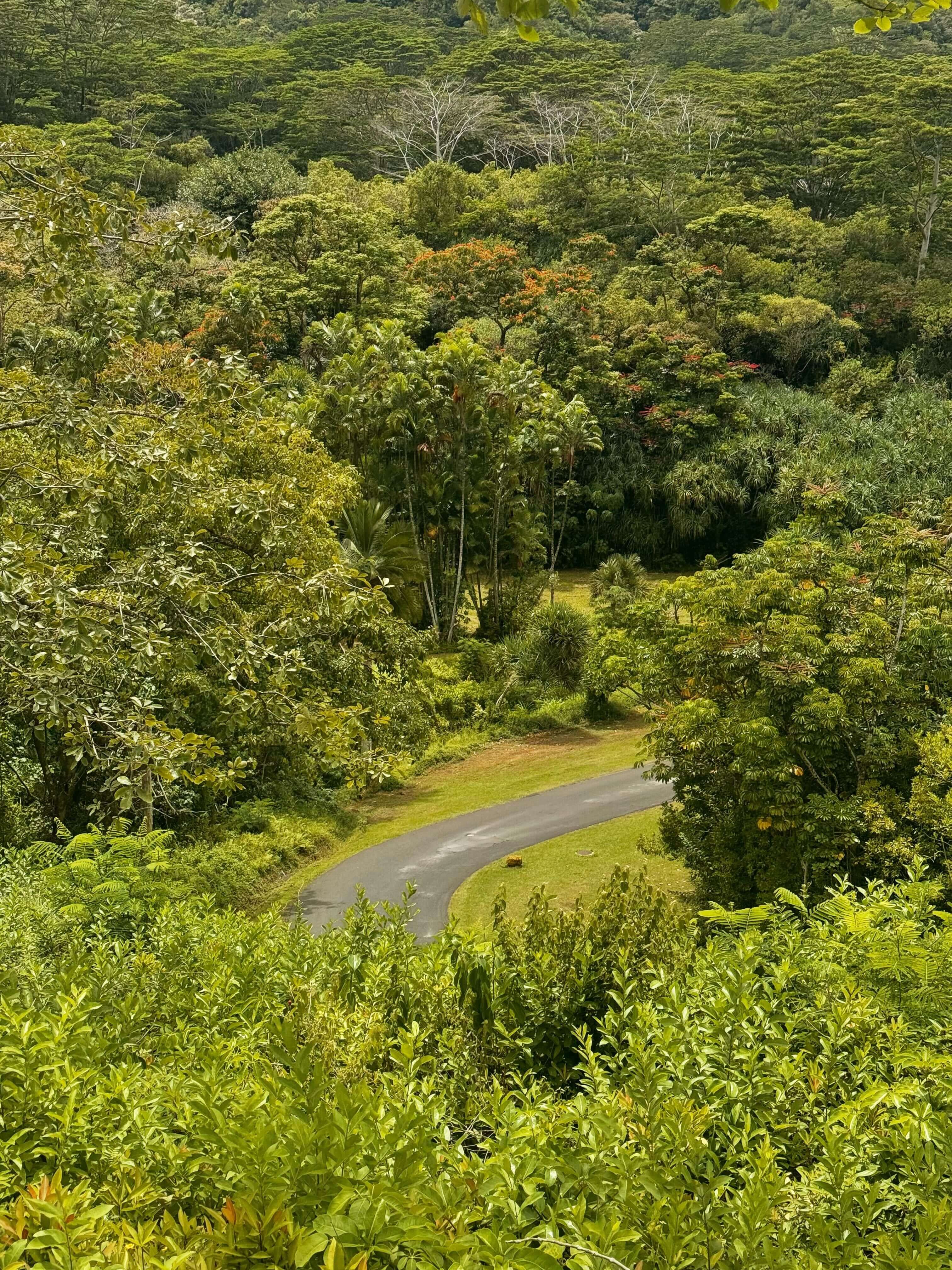 O'ahu Botanical Garden 3.jpg