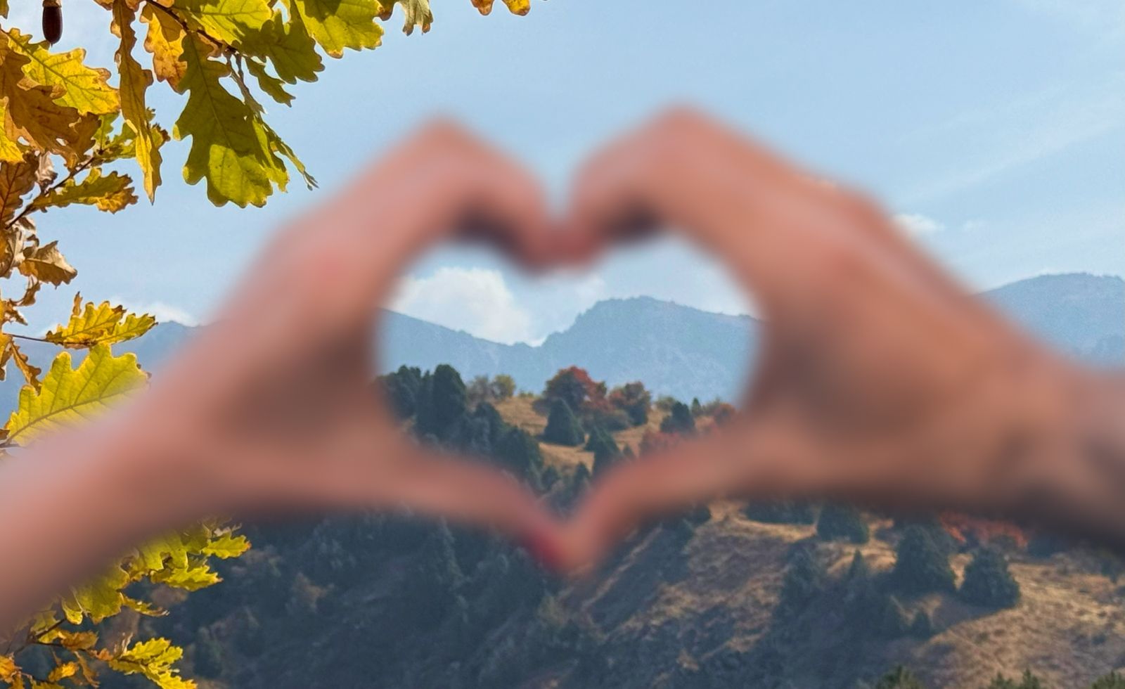 Ближе к природе: куда сбежать от ташкентского смога