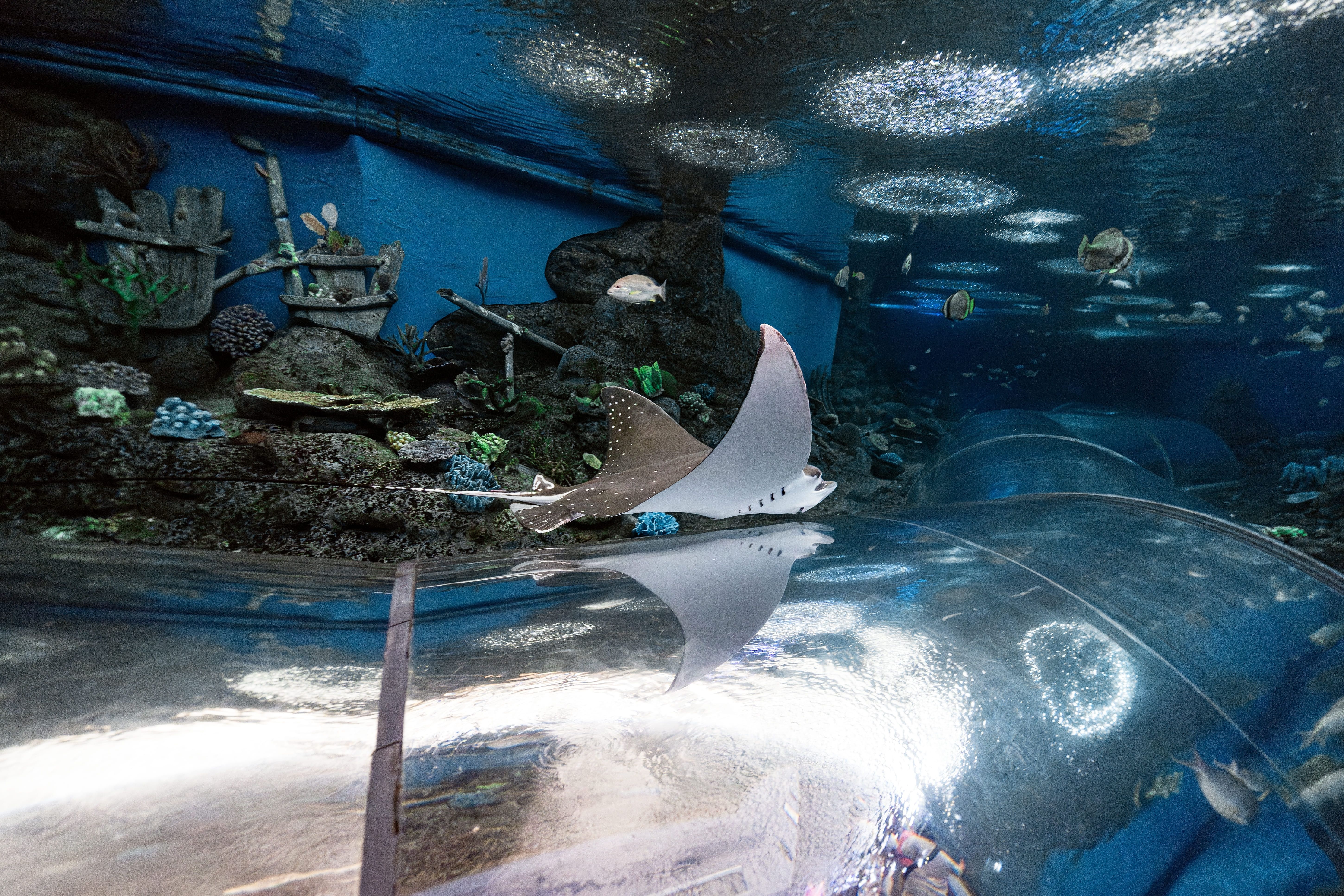 что посмотреть в Паттайе