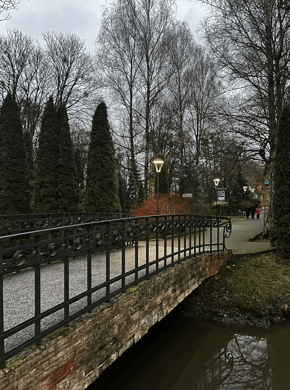 Парк в Калининграде с колесом обозрения