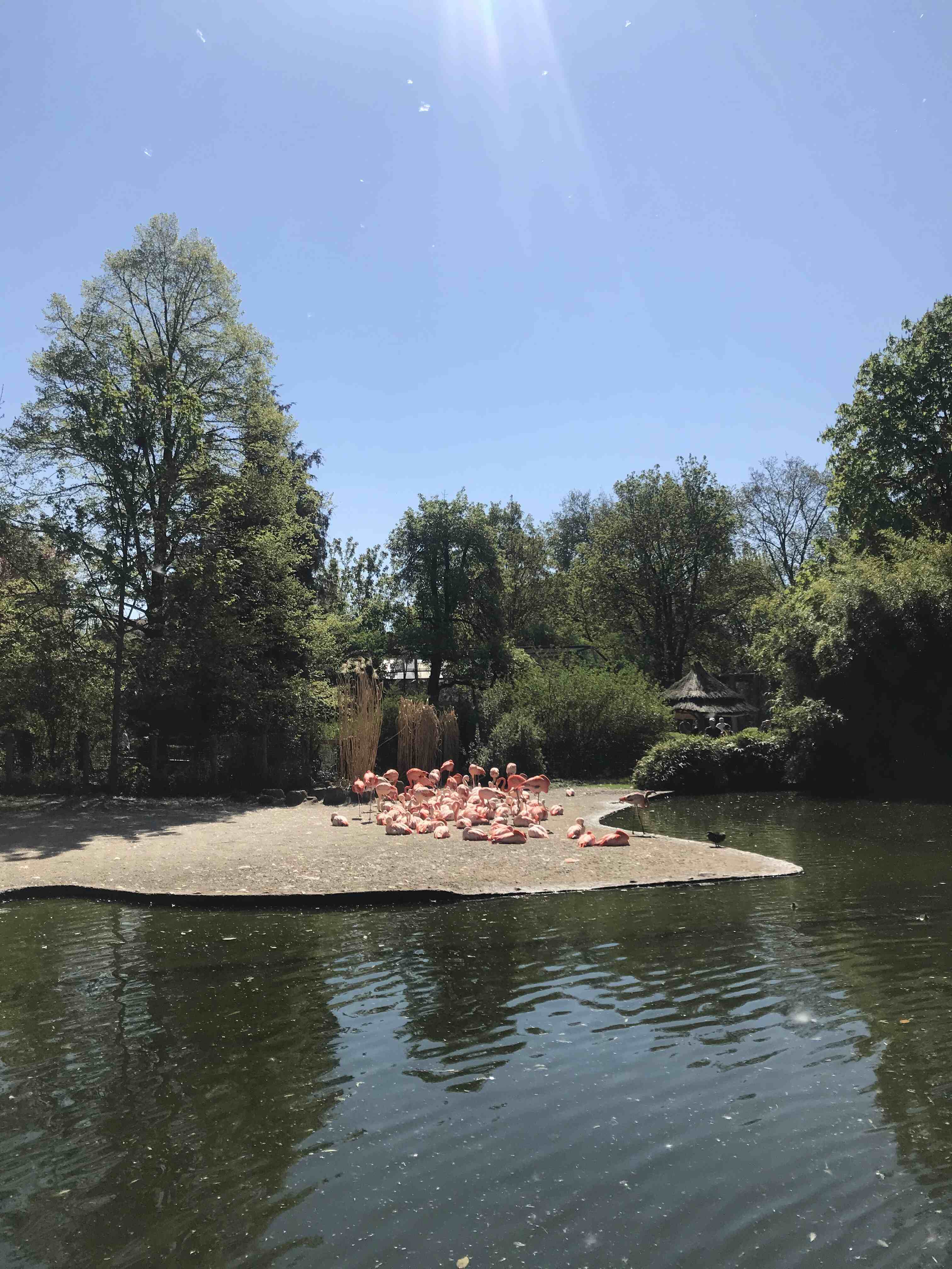 Пражский зоопарк 2.jpg