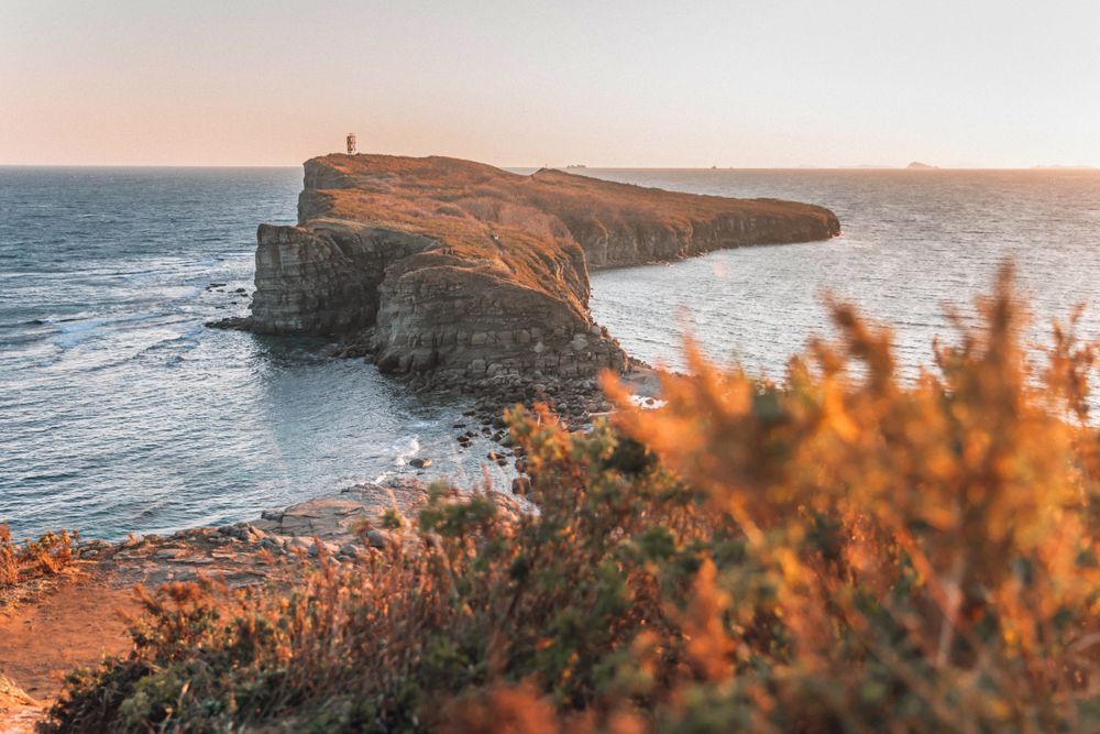 Природа Владивостока