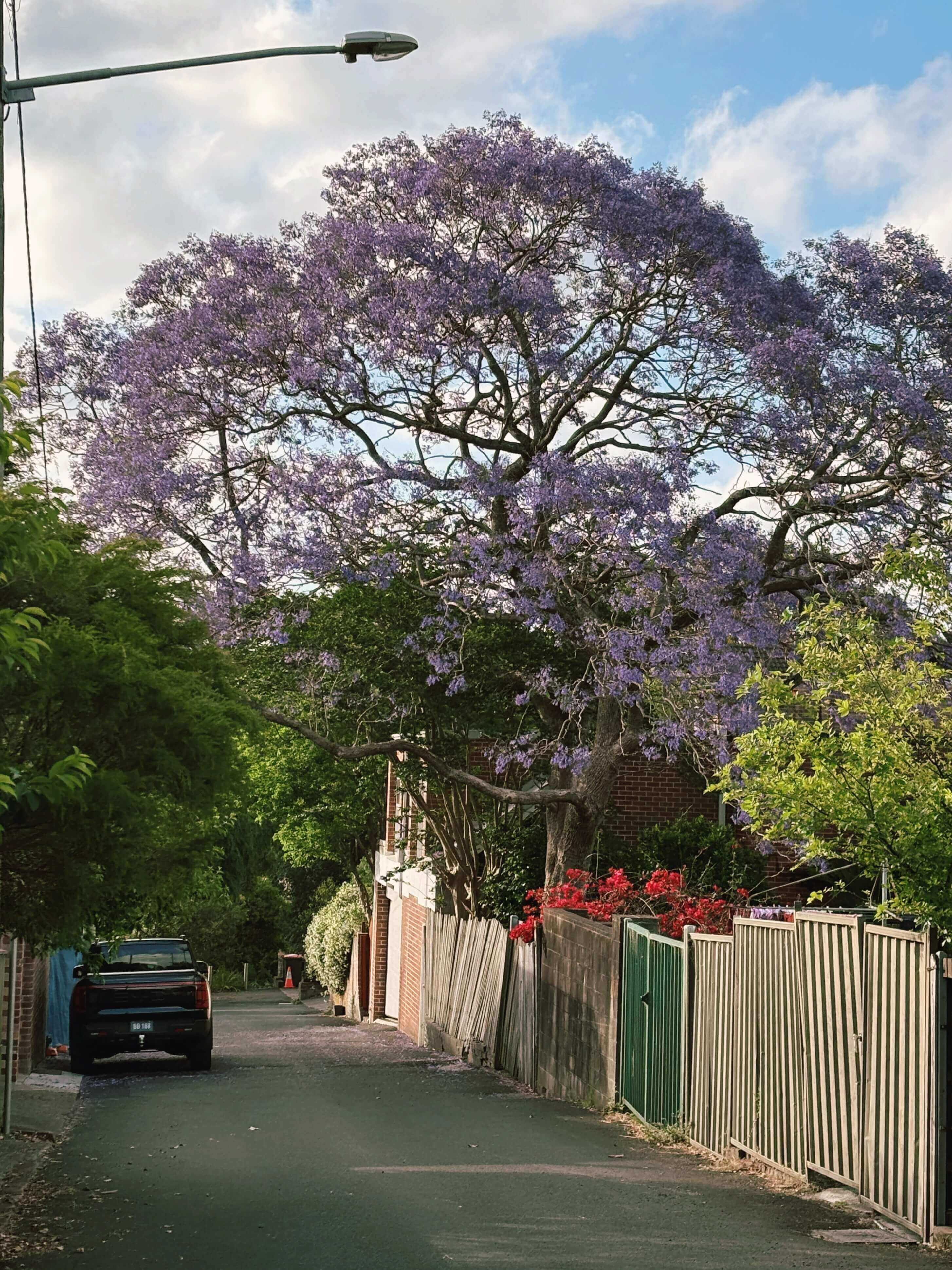Район в Сиднее
