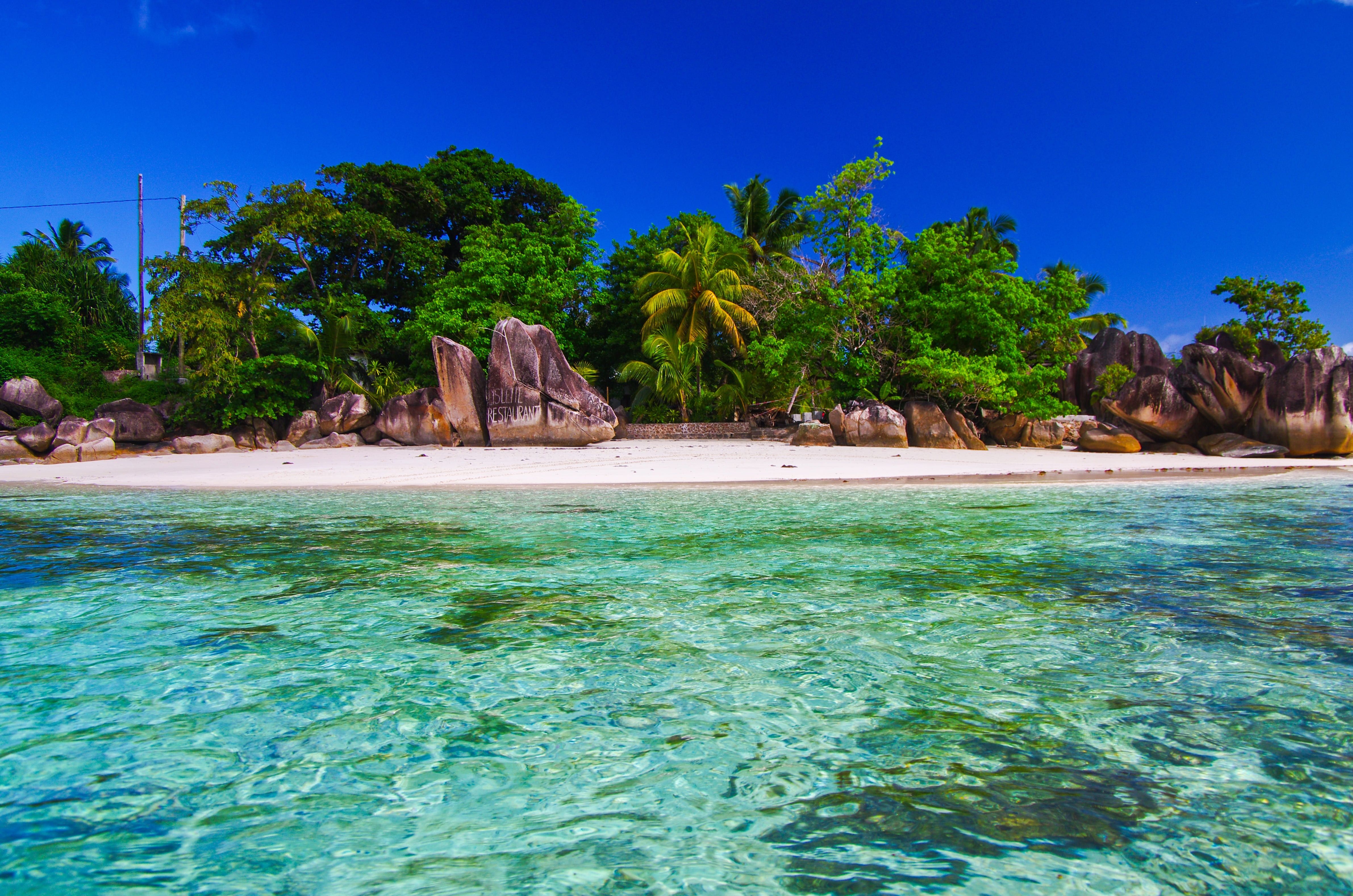 куда поехать на море в феврале