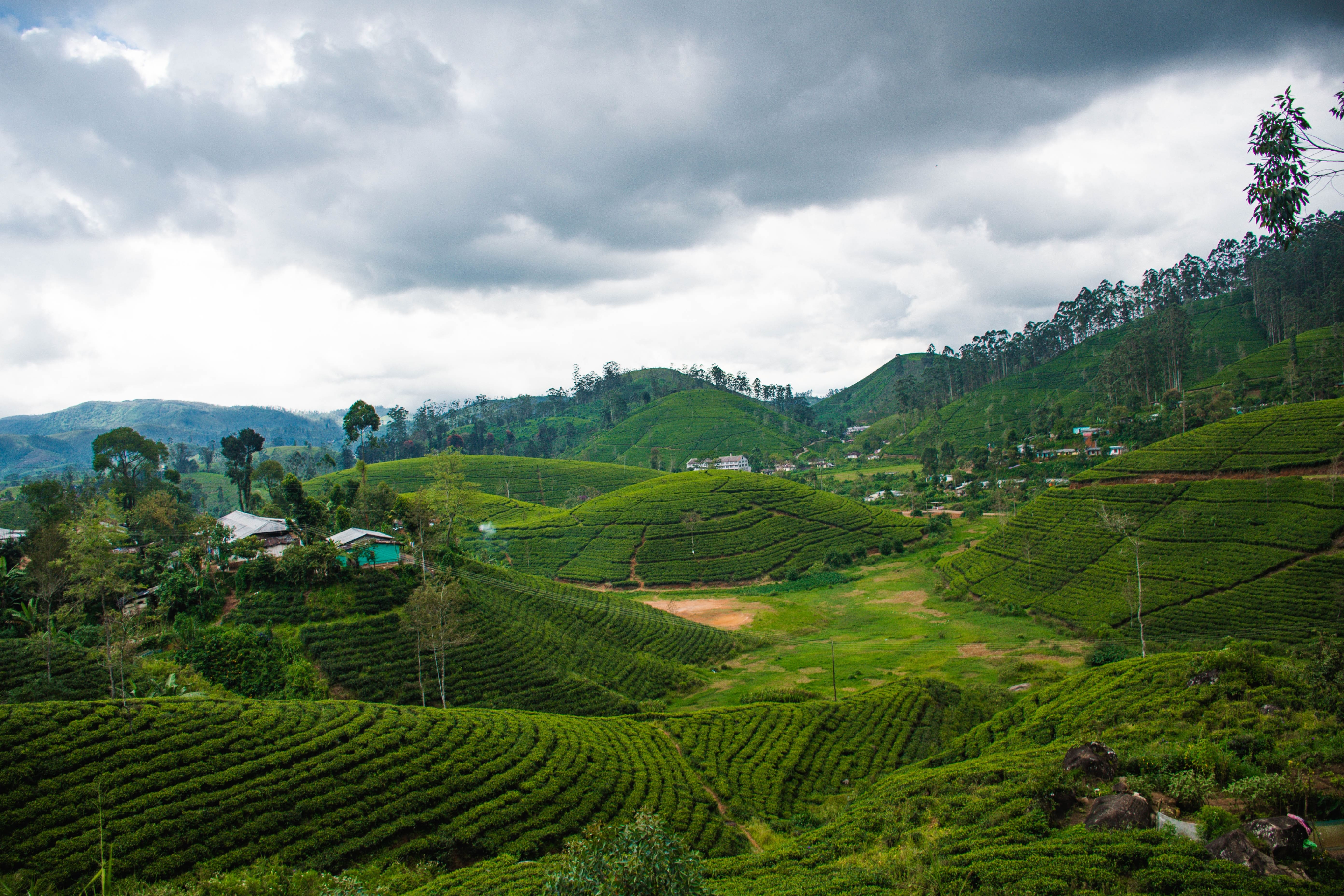 куда поехать зимой без визы