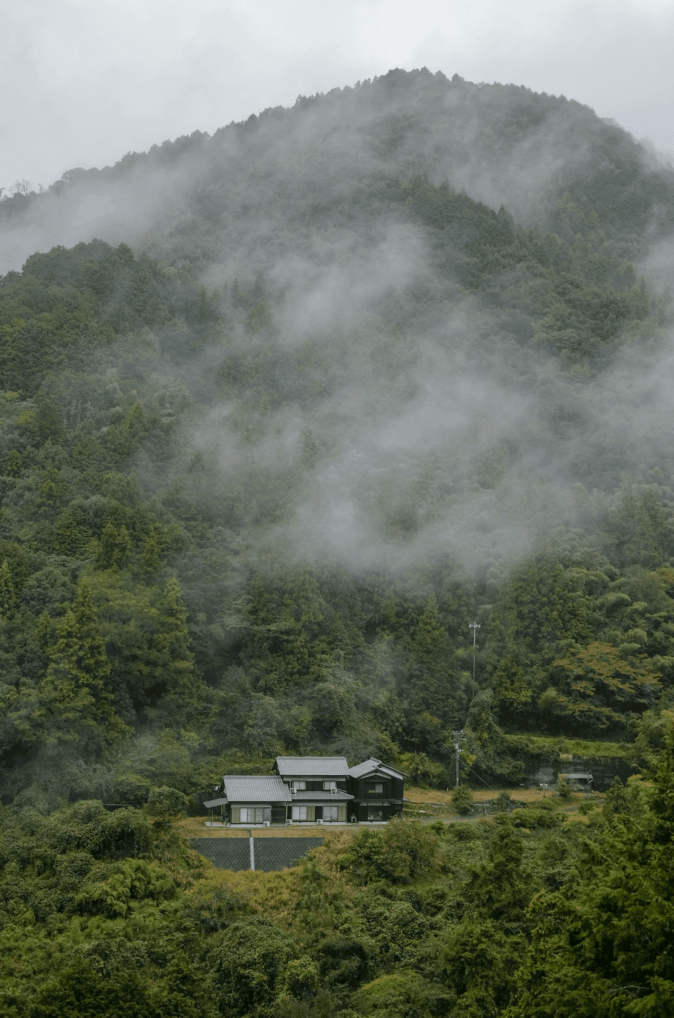 Туман в Японии