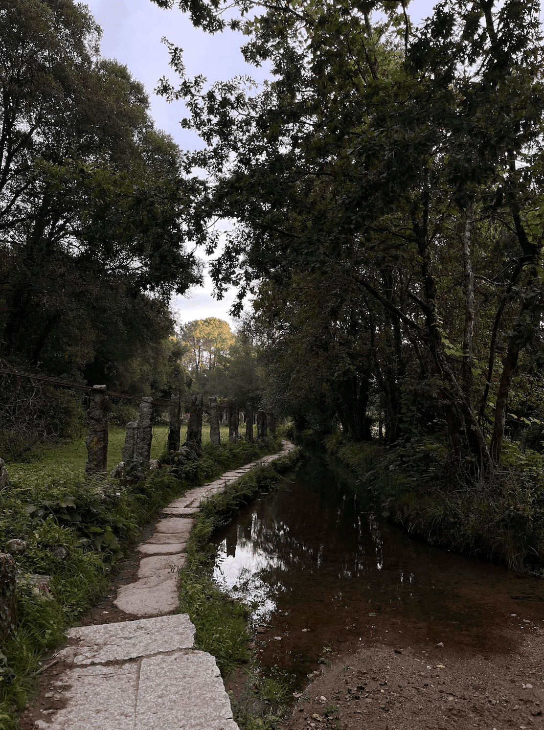 Путь Камино-де-Сантьяго