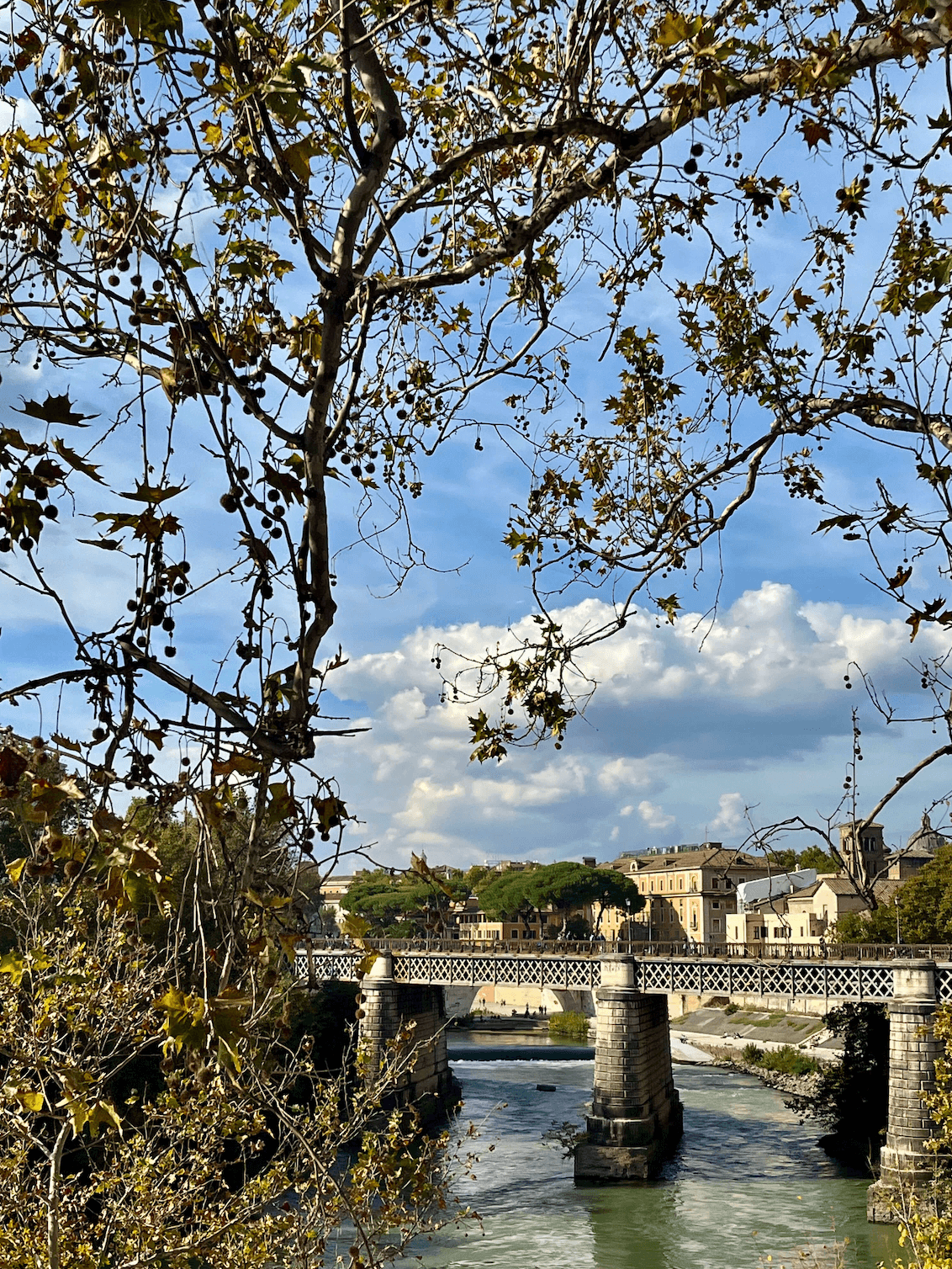 Река Тибр в Риме