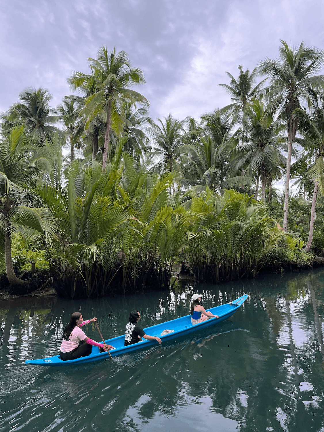 Джунгли и река на Филиппинах