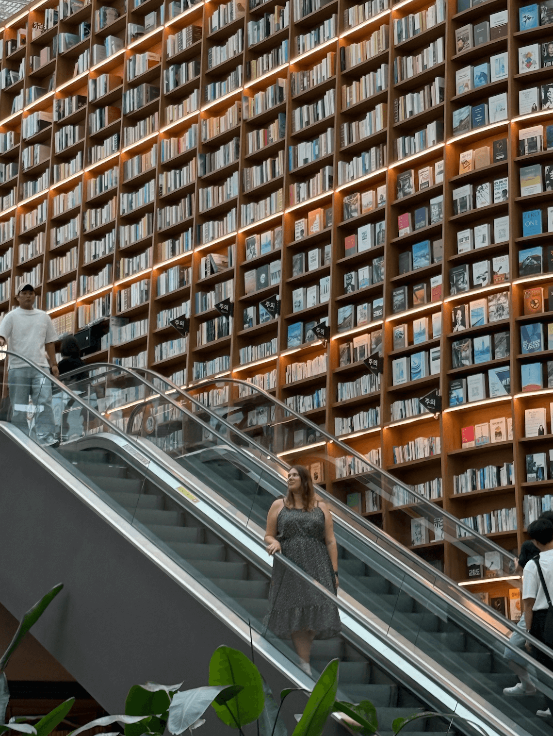 Библиотека в Сеуле