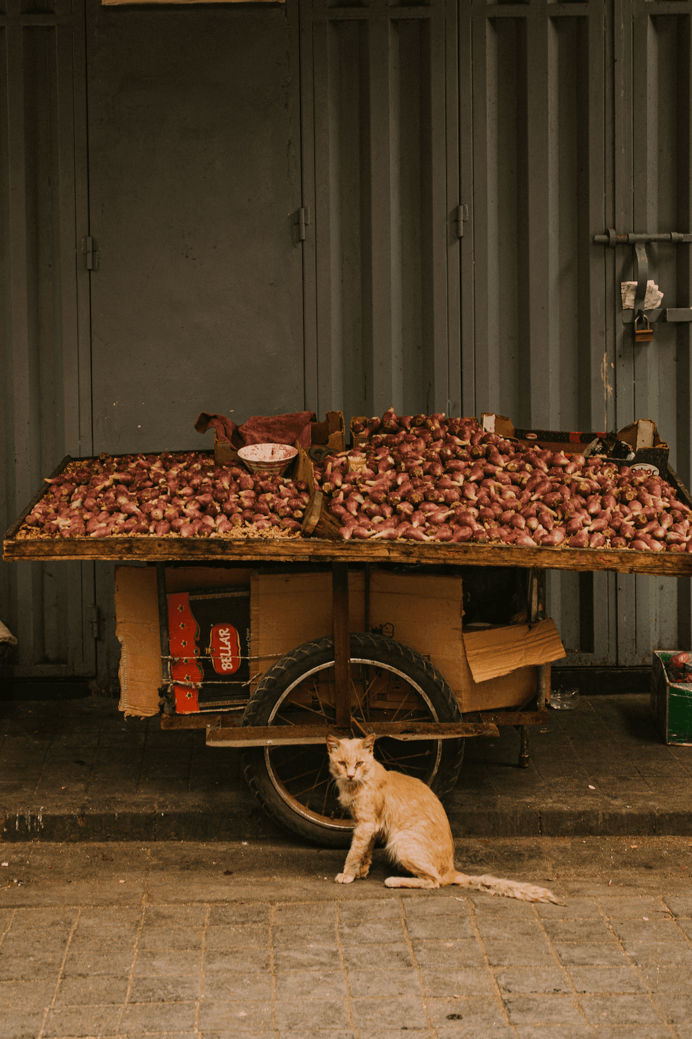 Медина в Касабланке