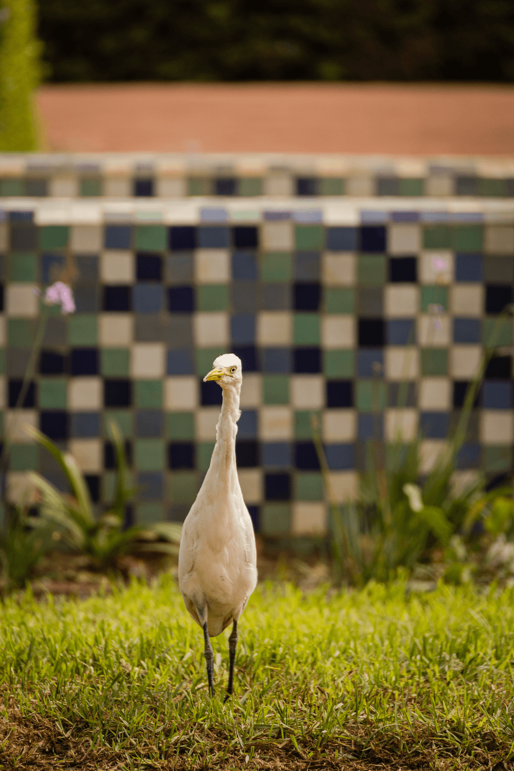 Парк Лиги арабских государств в Касабланке