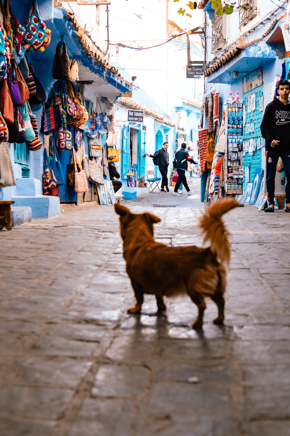 Синий город Шефшауэн в Марокко